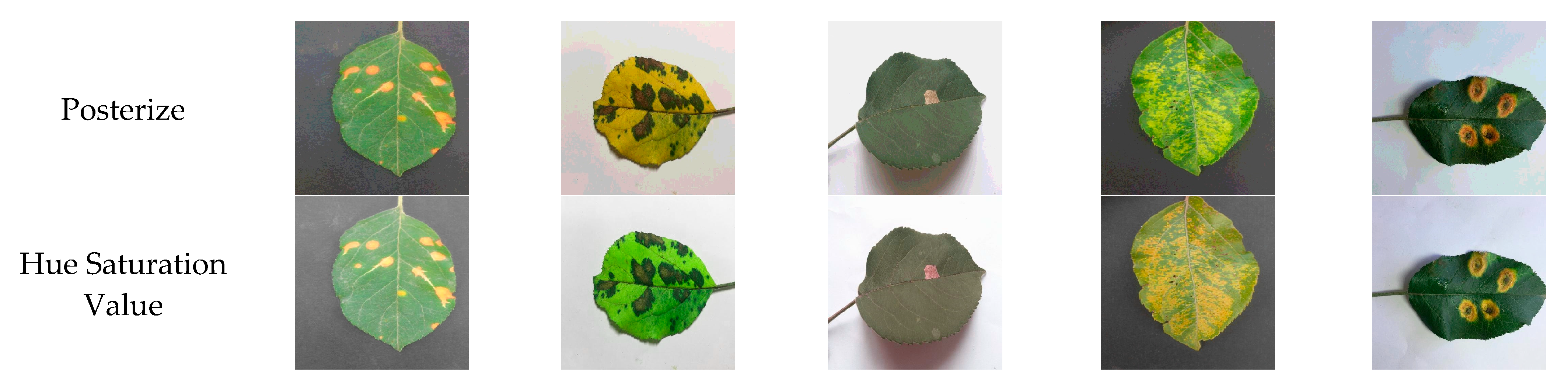 Applsci 14 01716 g005b