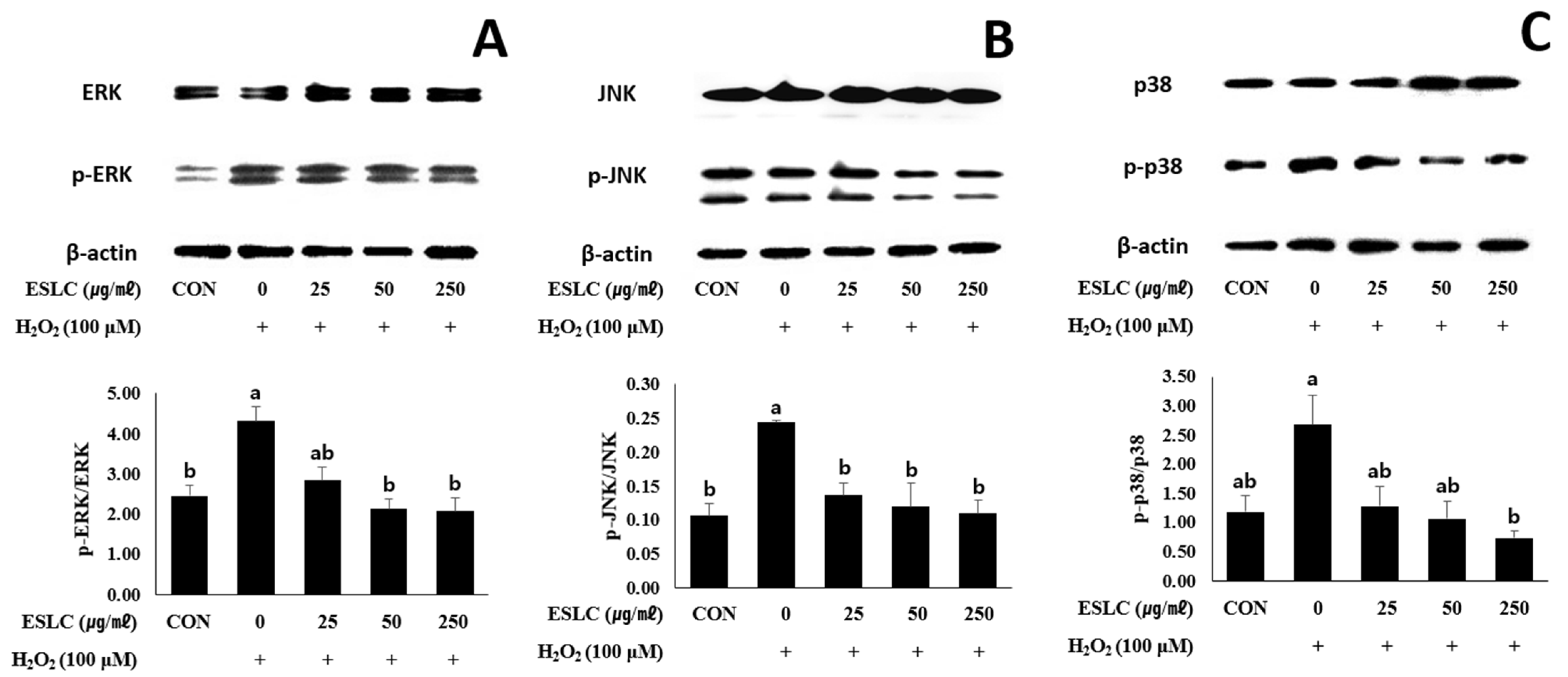 Applsci 14 01733 g007