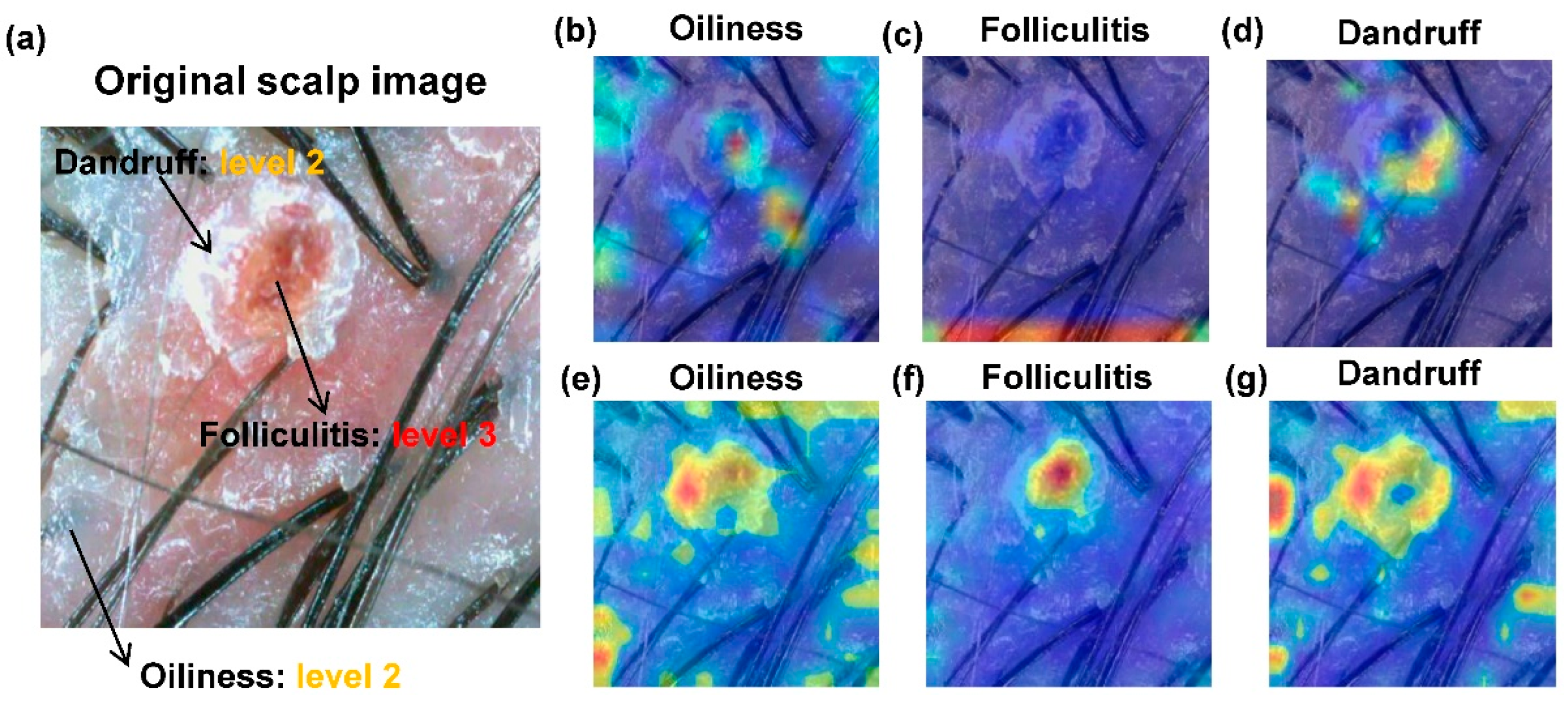 Applsci 14 01734 g005