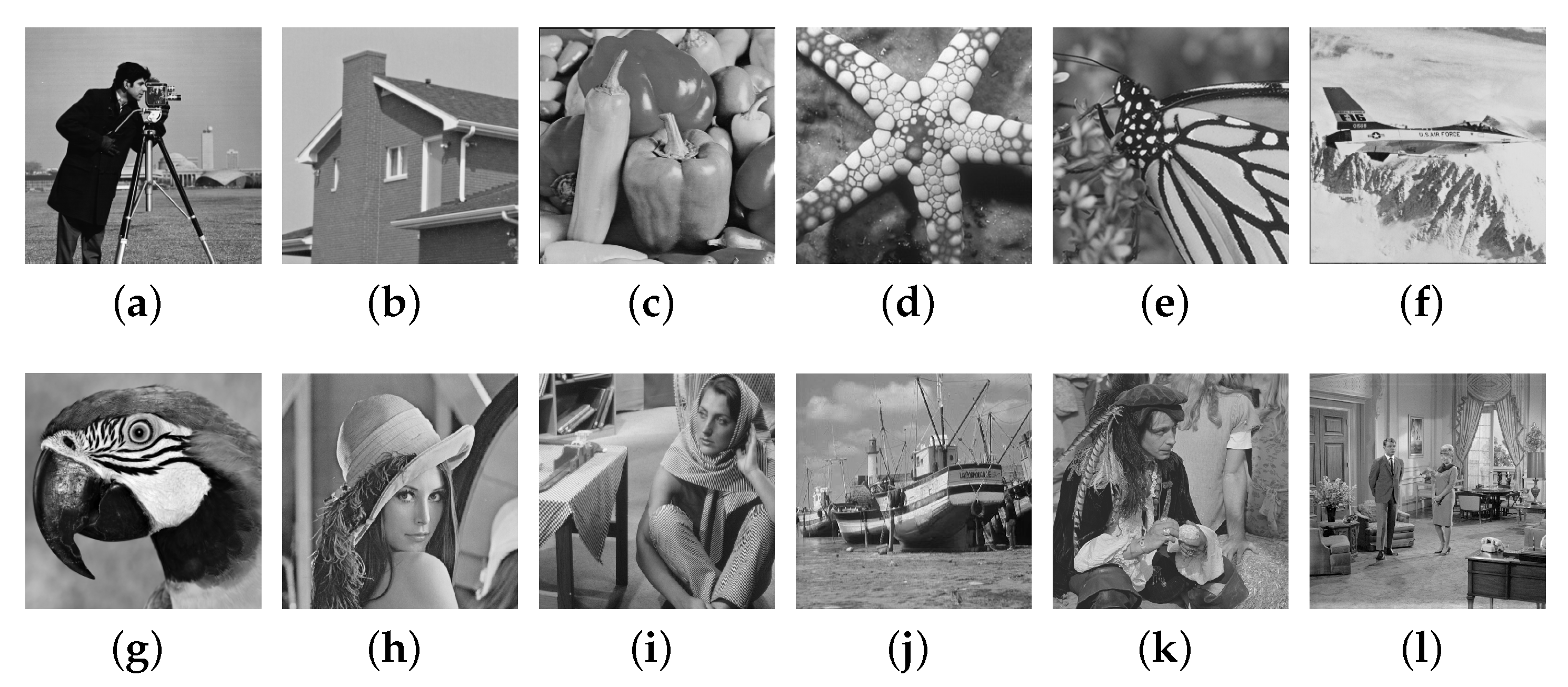 Applsci 14 01742 g005