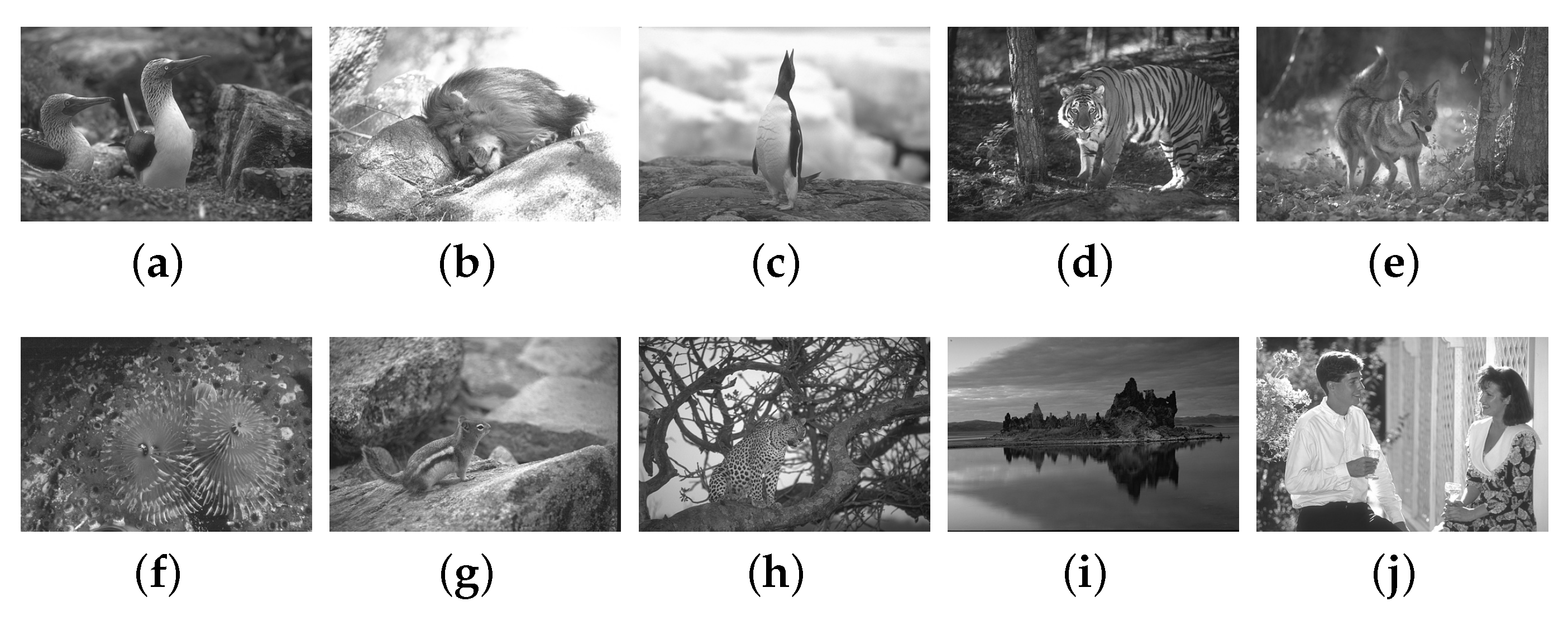 Applsci 14 01742 g006