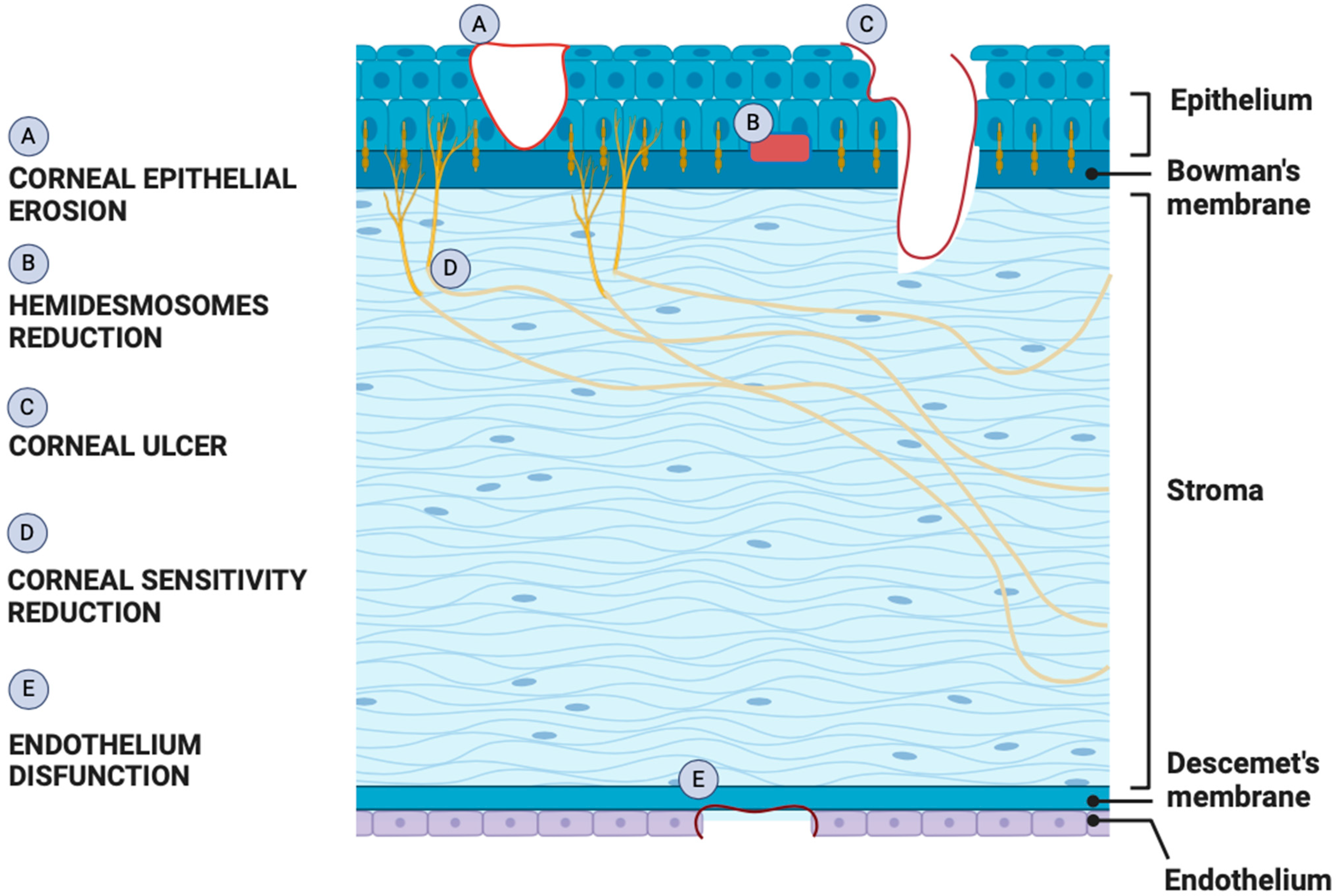 Applsci 14 01754 g001