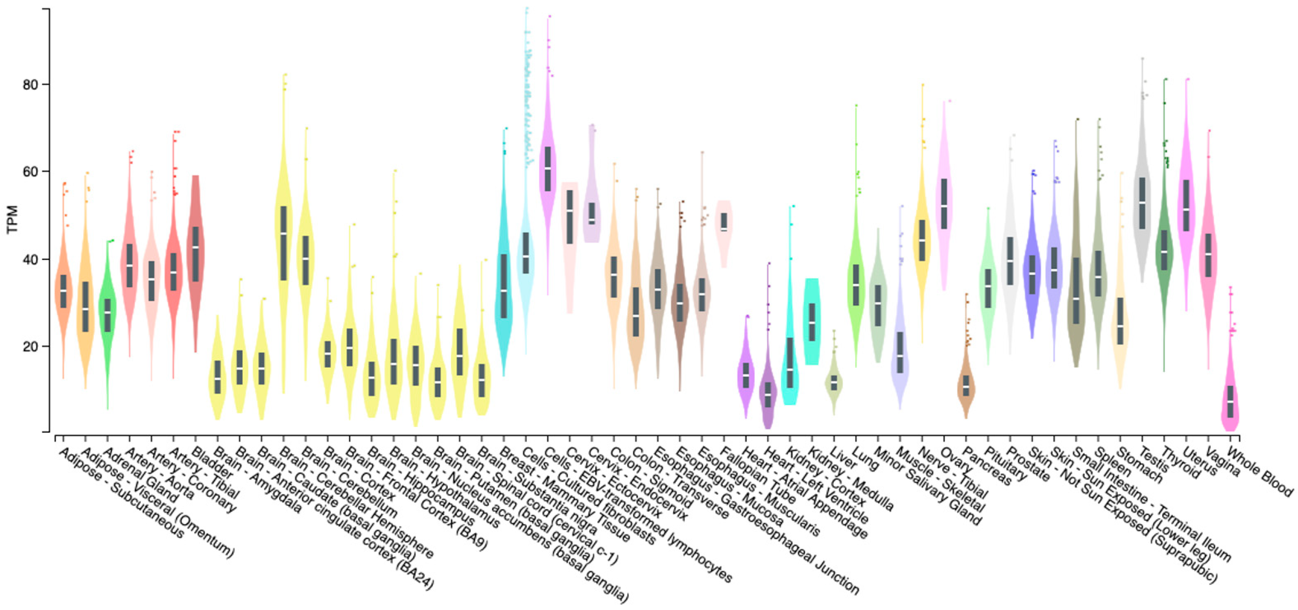 Applsci 14 01754 g004