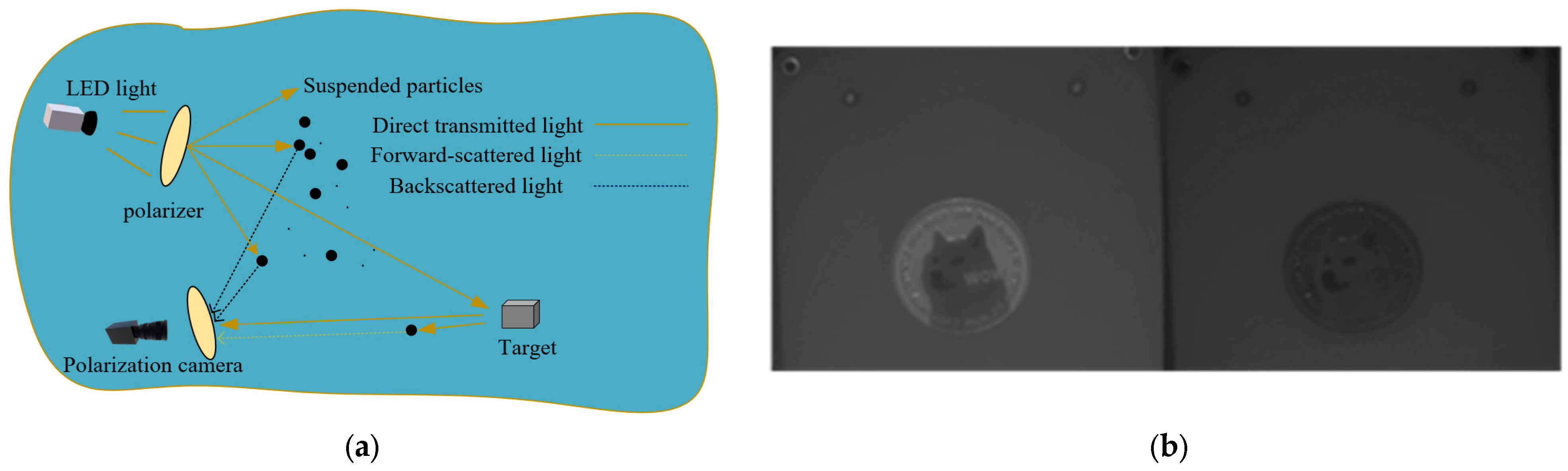 Applsci 14 01769 g001