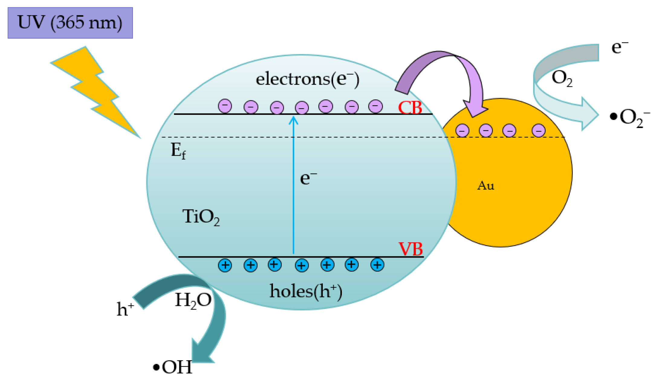 Applsci 14 01774 g002