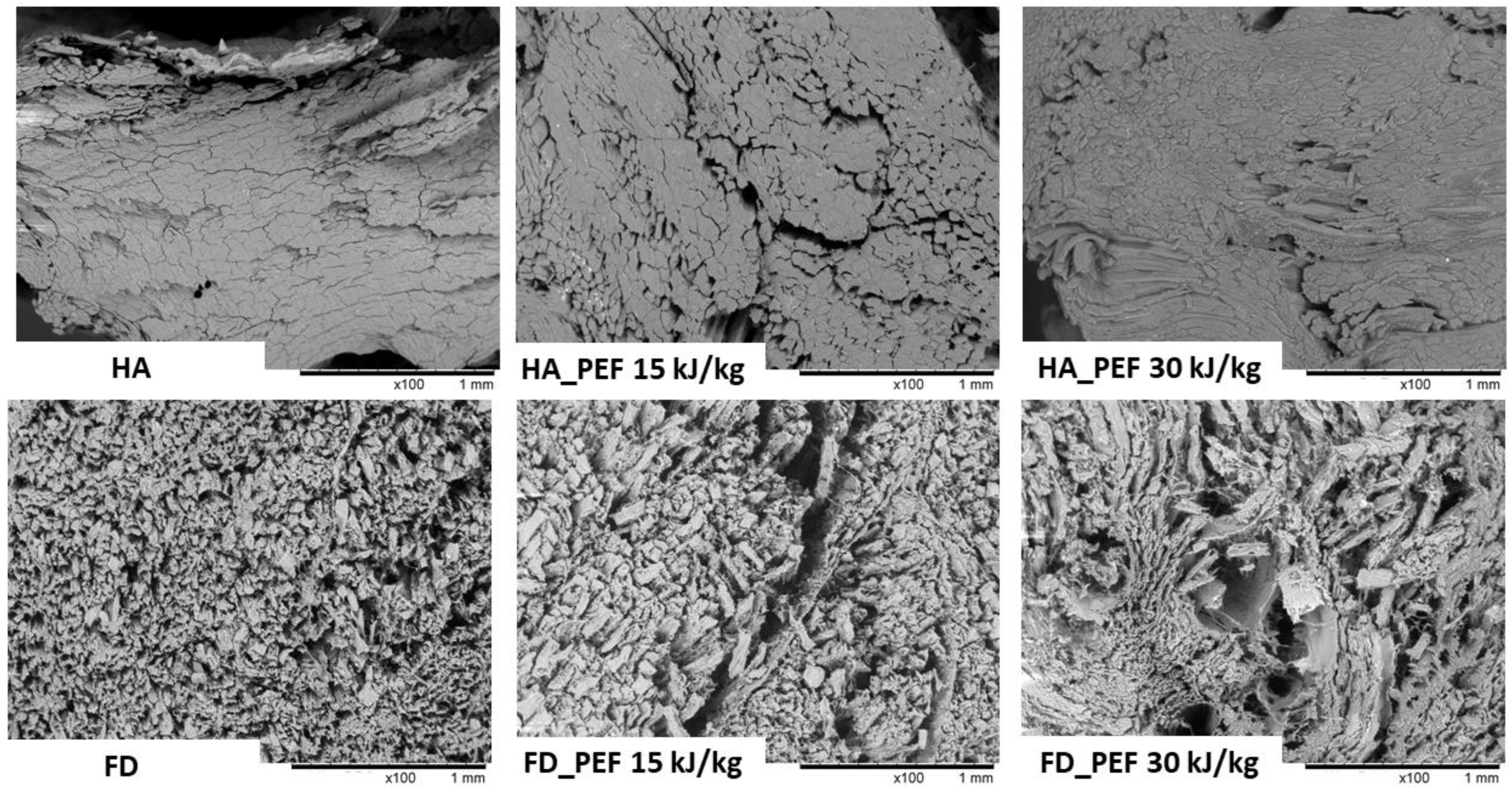 Applsci 14 01808 g003