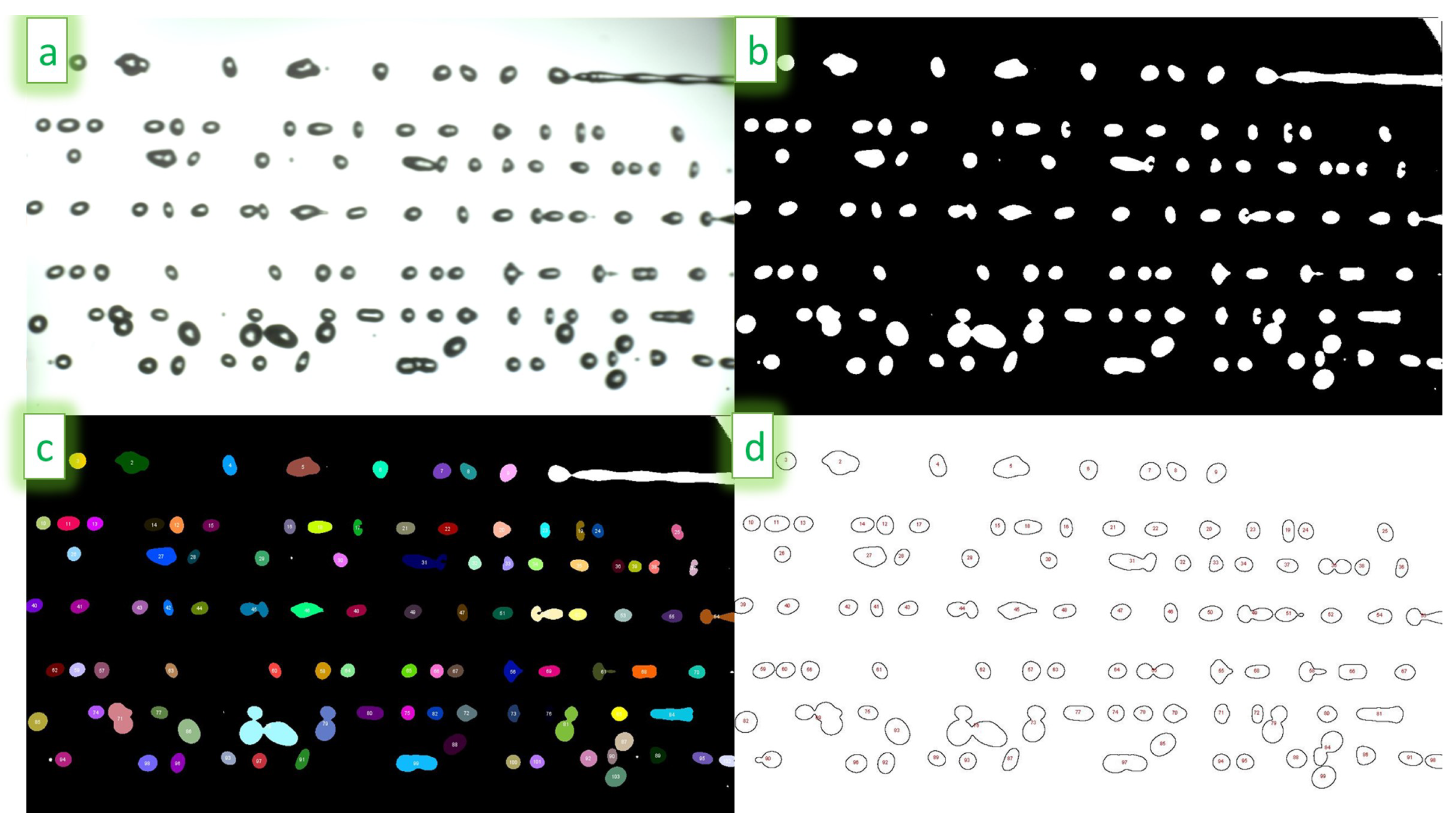 Applsci 14 01824 g002