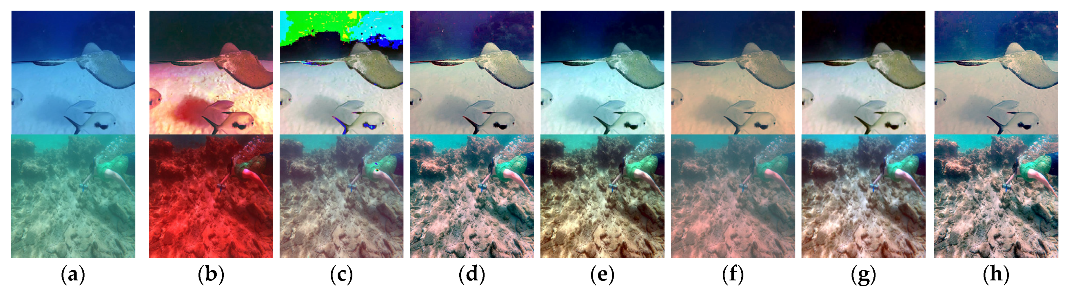 Applsci 14 01836 g006