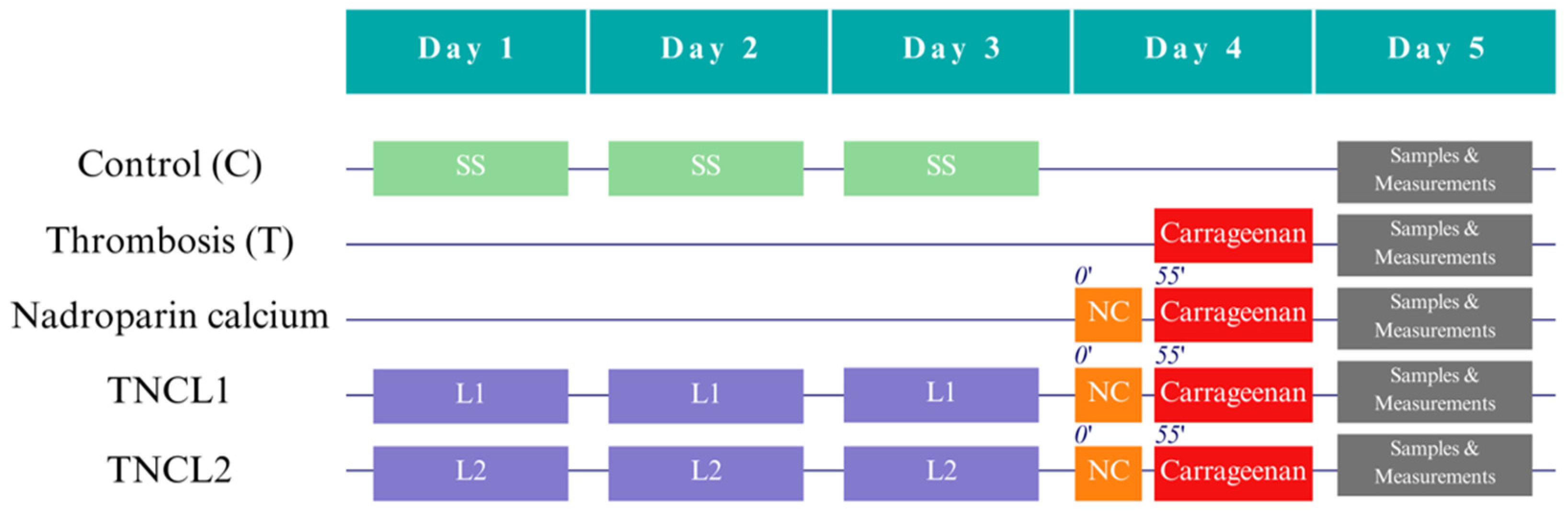 Applsci 14 01852 g001