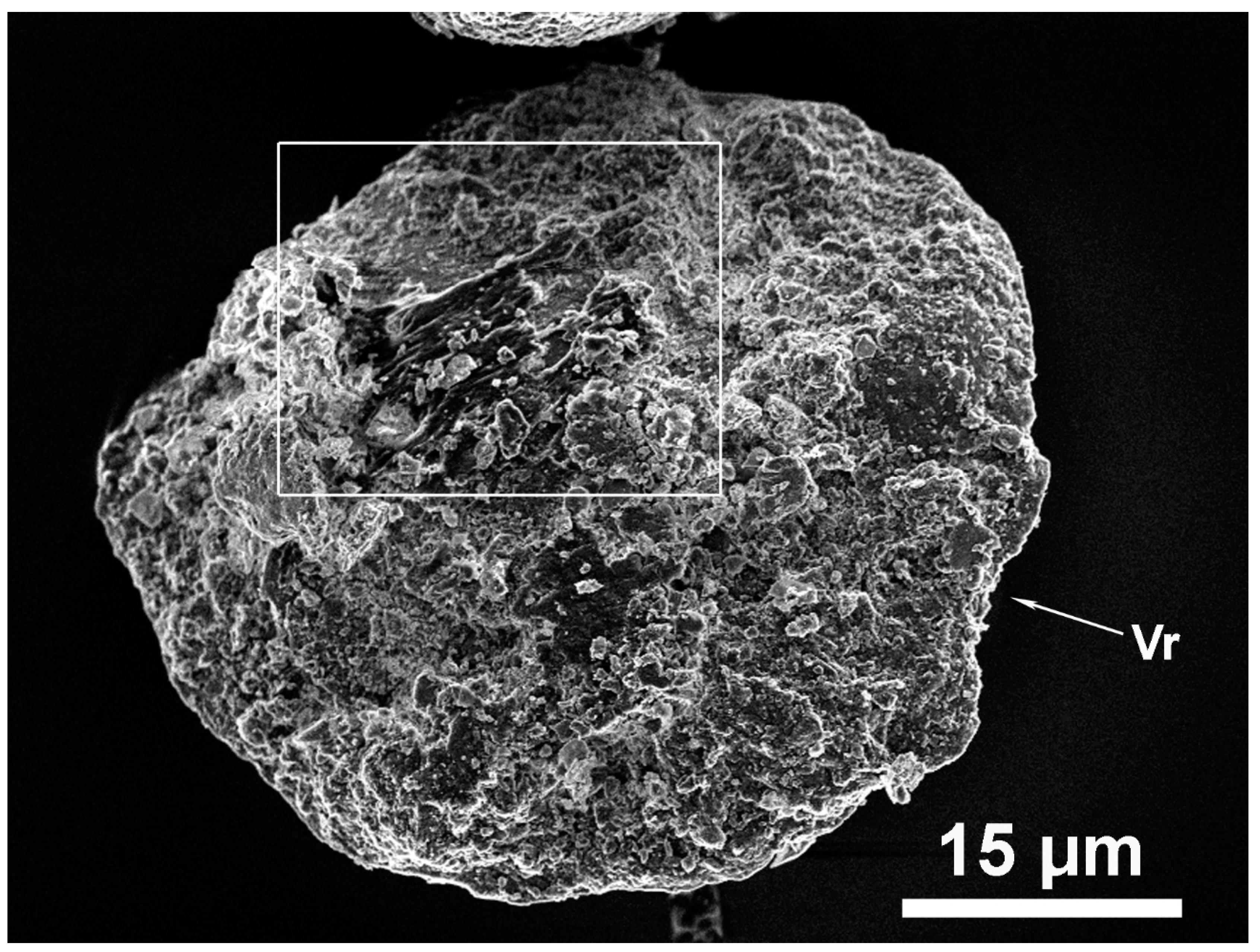 Applsci 14 01862 g007