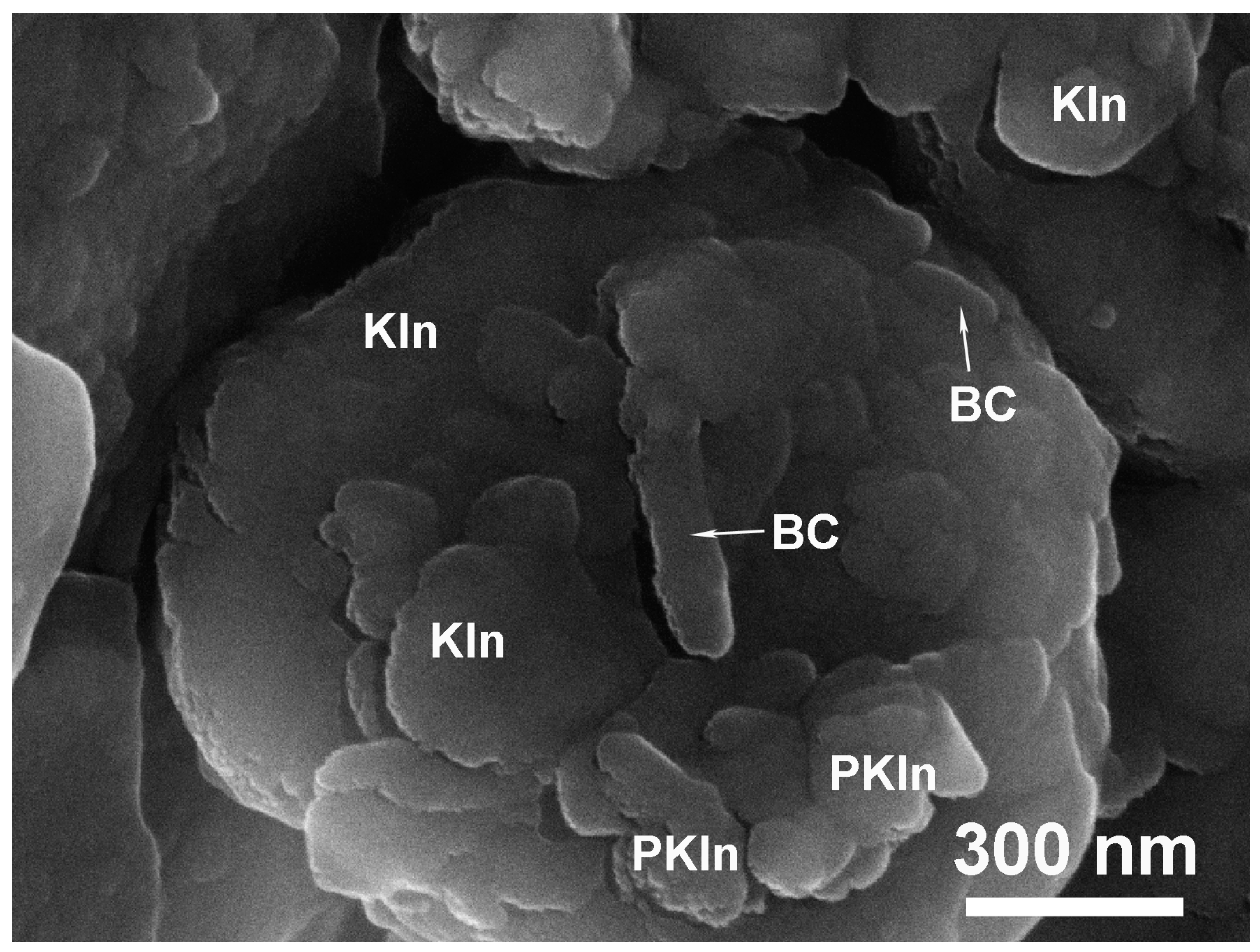 Applsci 14 01862 g012