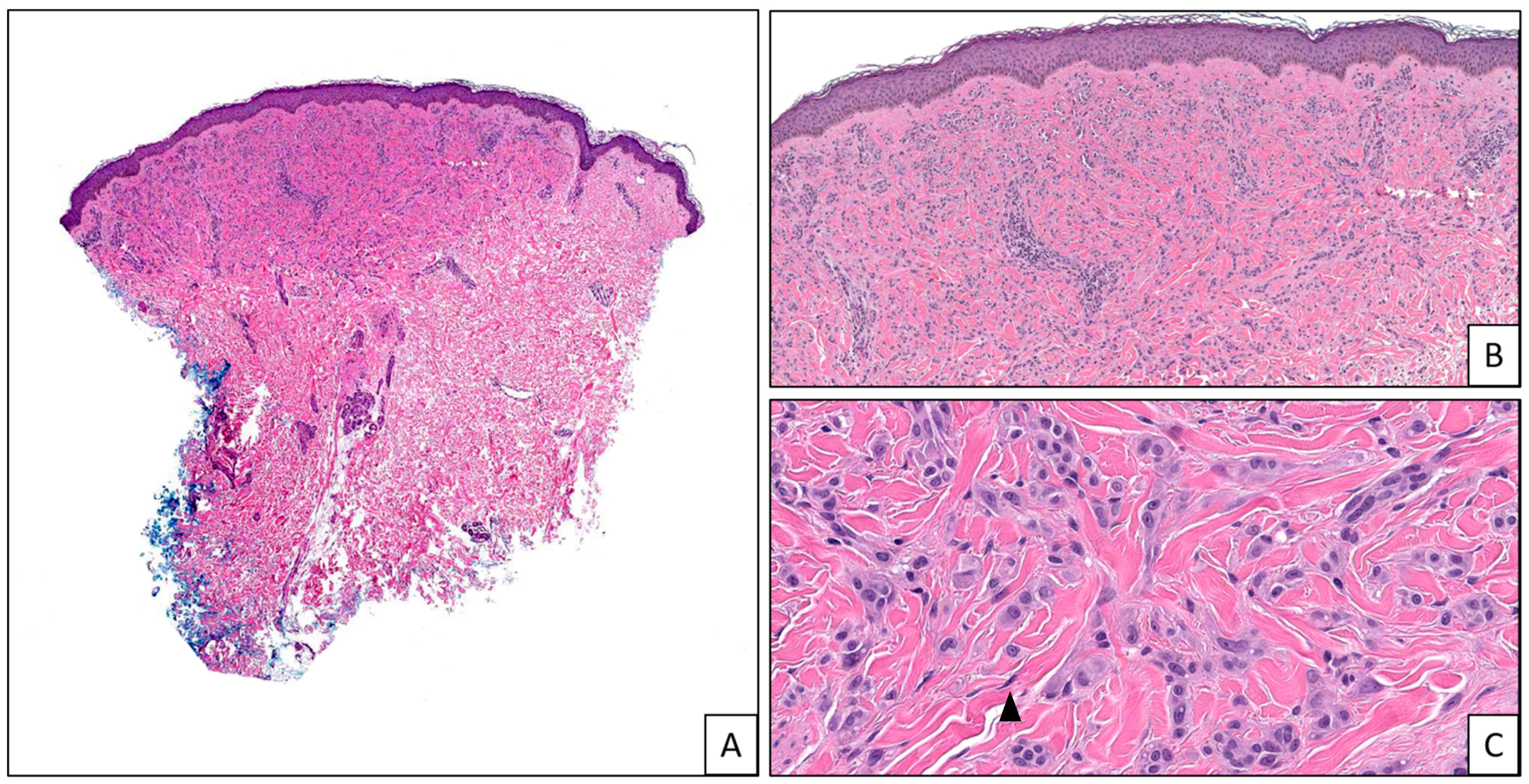Applsci 14 01863 g001 Applsci 14 01863 g001
