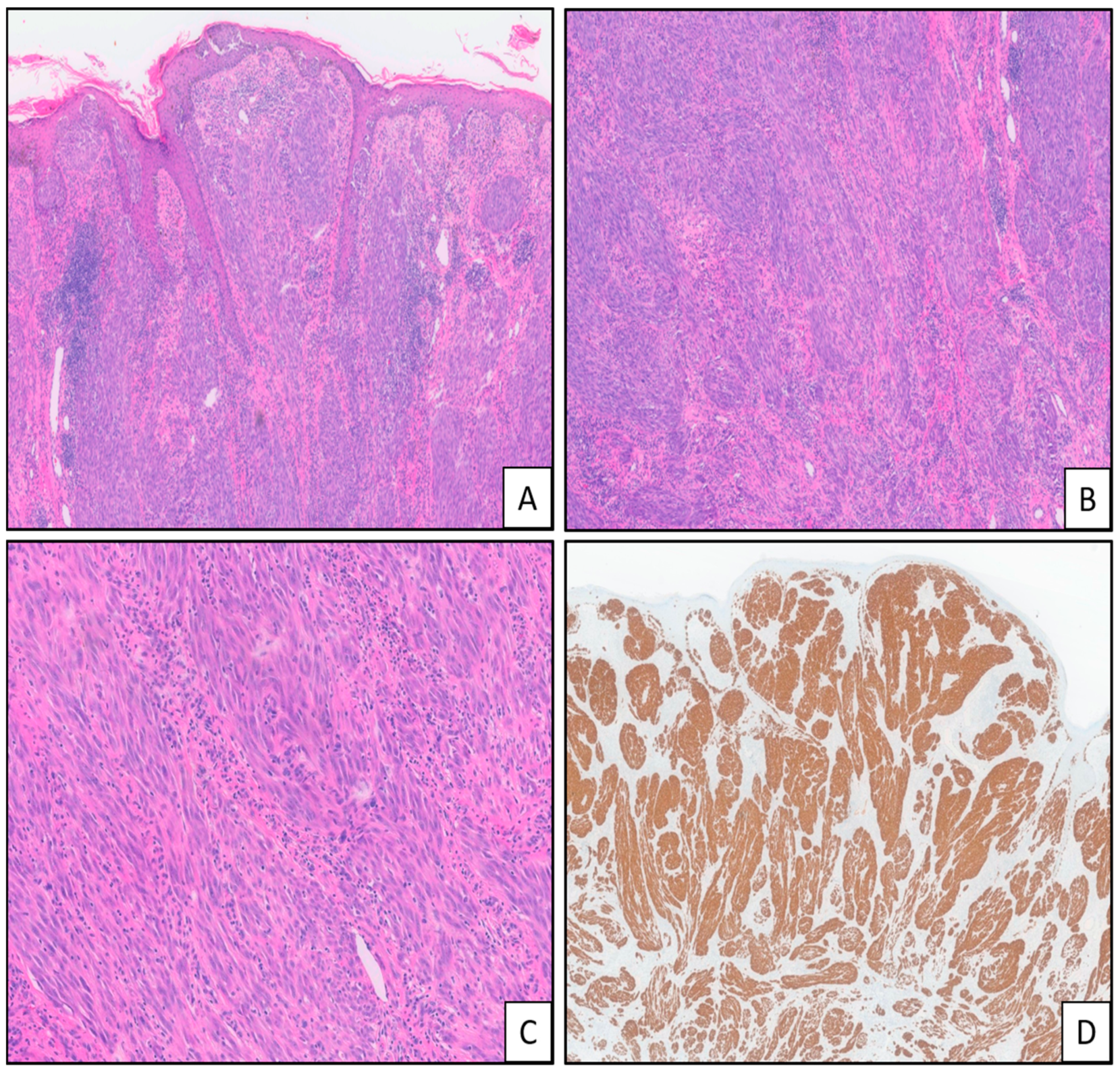 Applsci 14 01863 g002 Applsci 14 01863 g002
