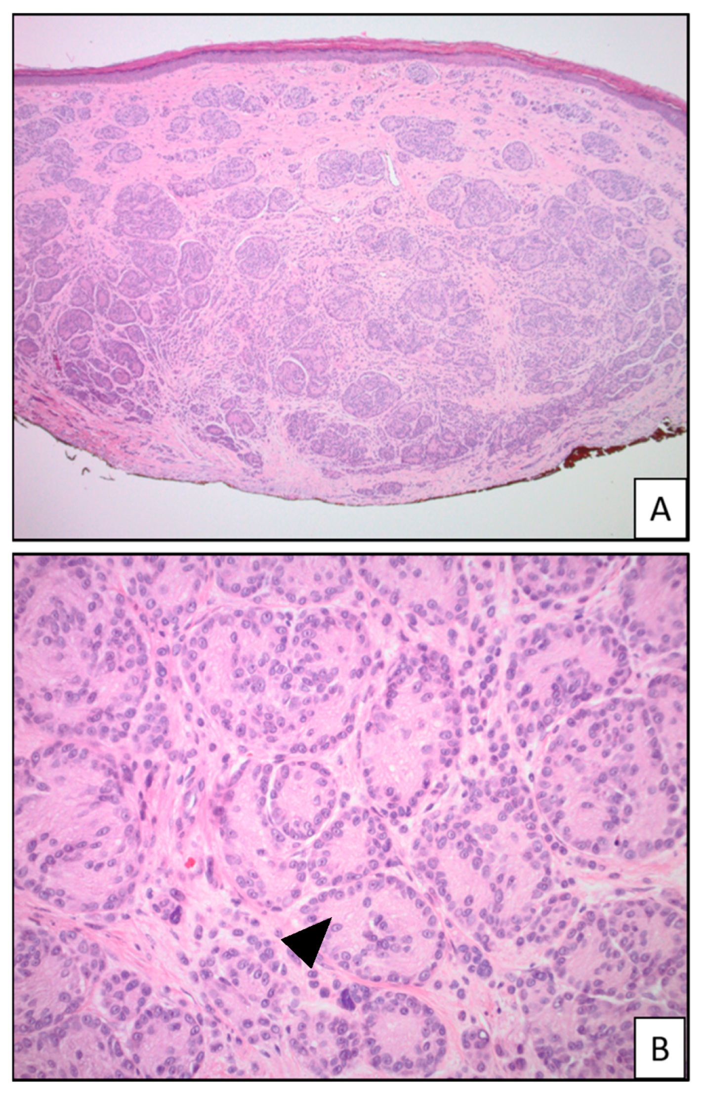 Applsci 14 01863 g003 Applsci 14 01863 g003