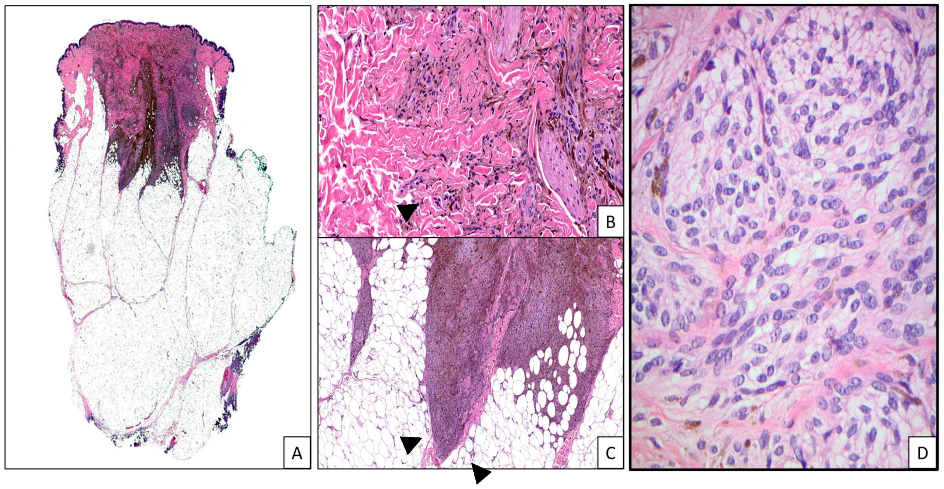 Applsci 14 01863 g004 Applsci 14 01863 g004
