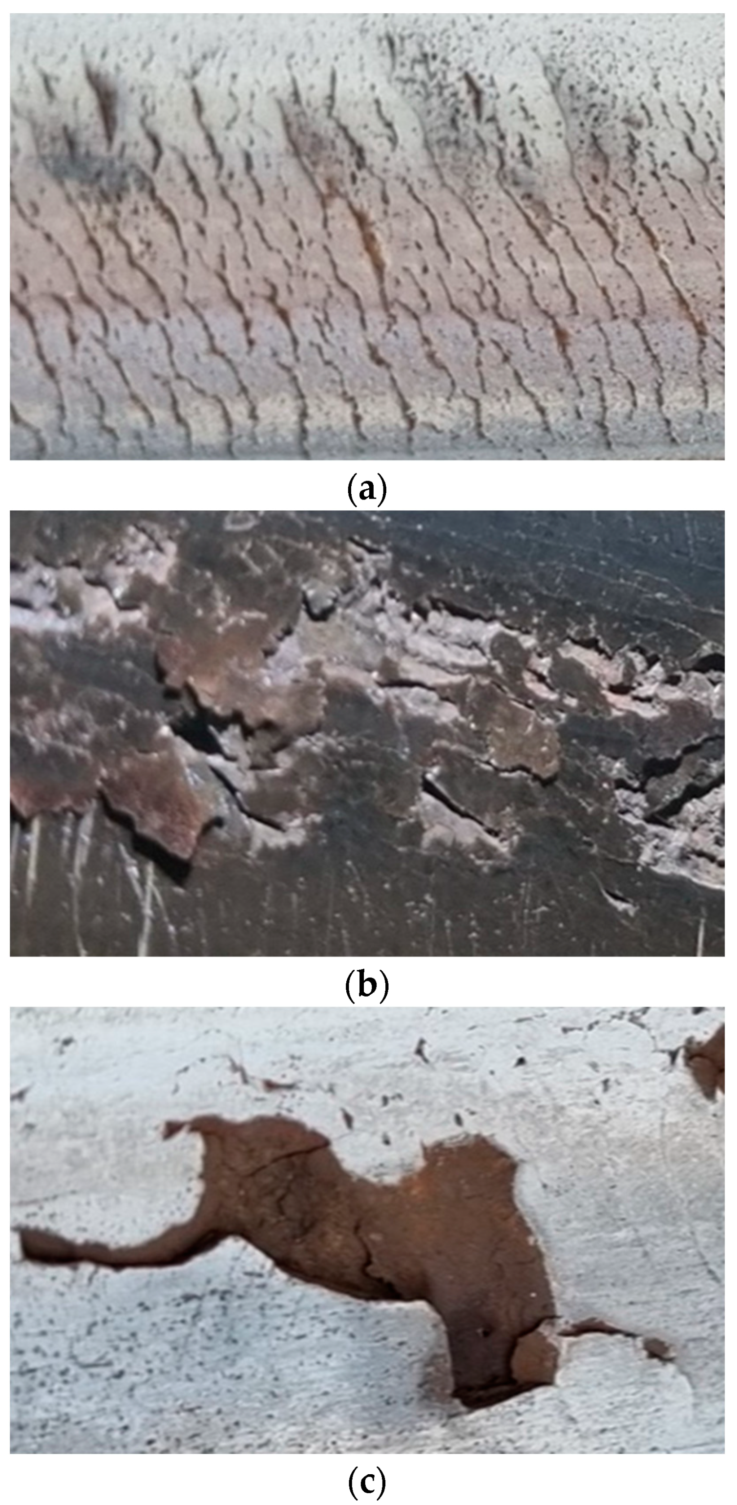 Applsci 14 01874 g002