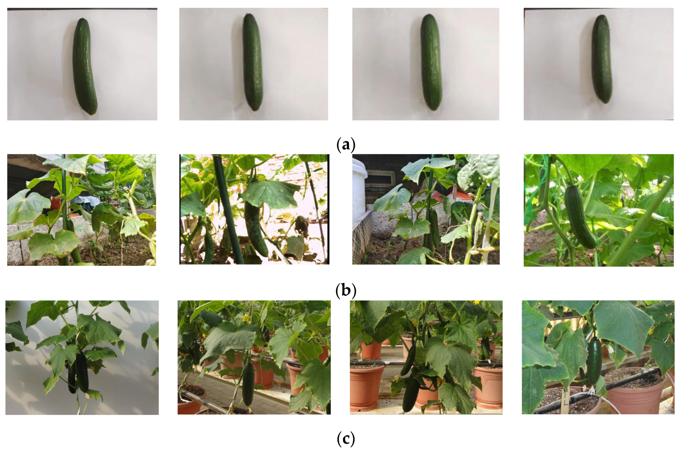 Applsci 14 01884 g004