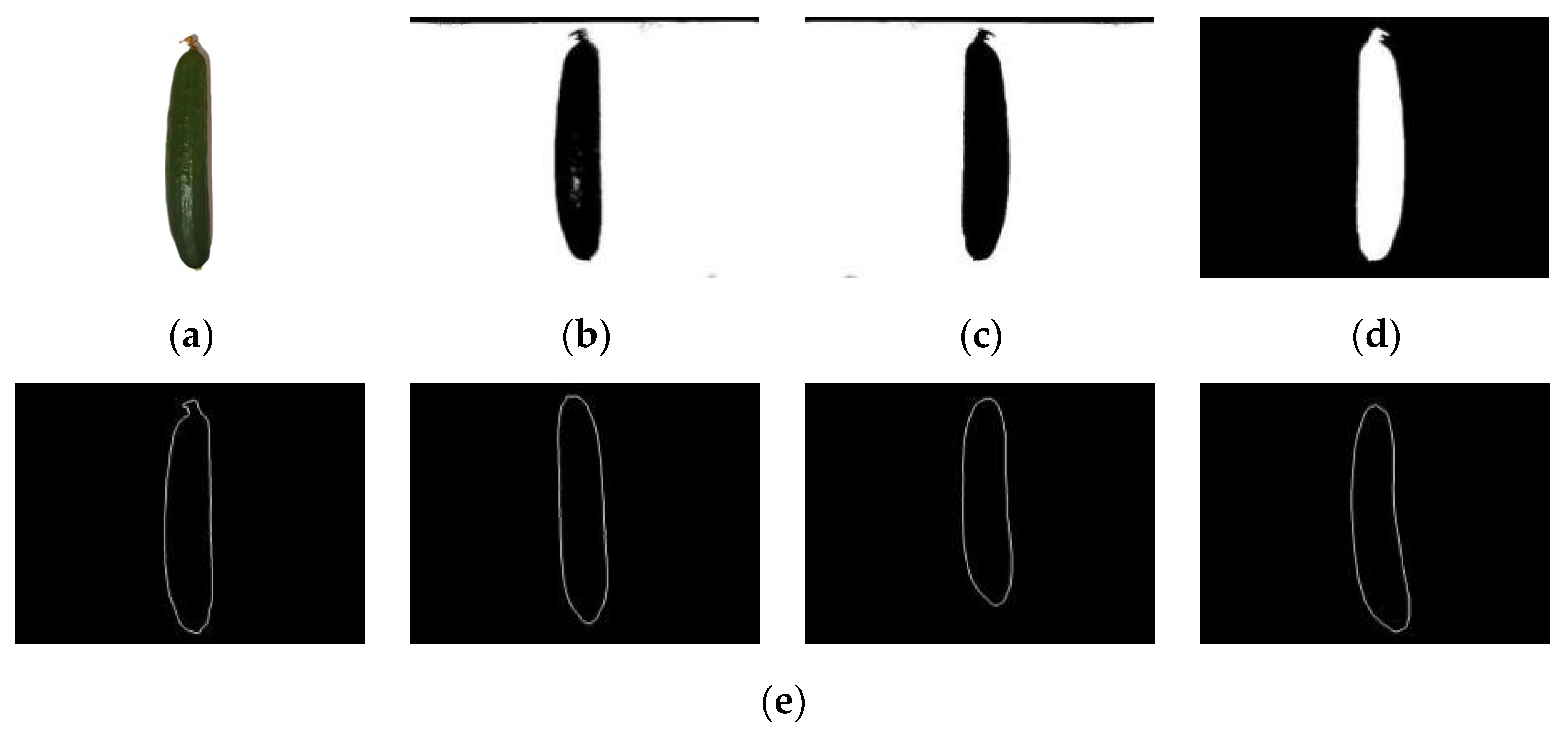 Applsci 14 01884 g007