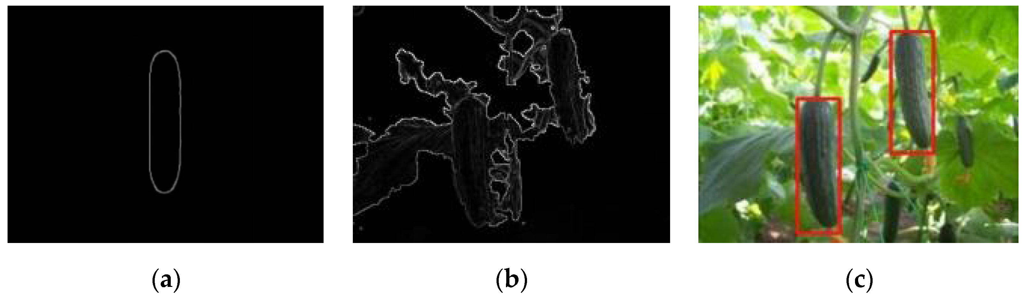 Applsci 14 01884 g011