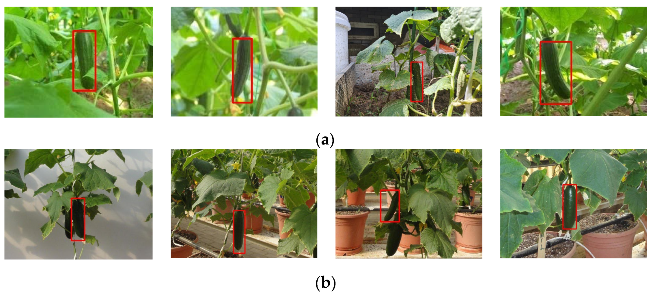 Applsci 14 01884 g013