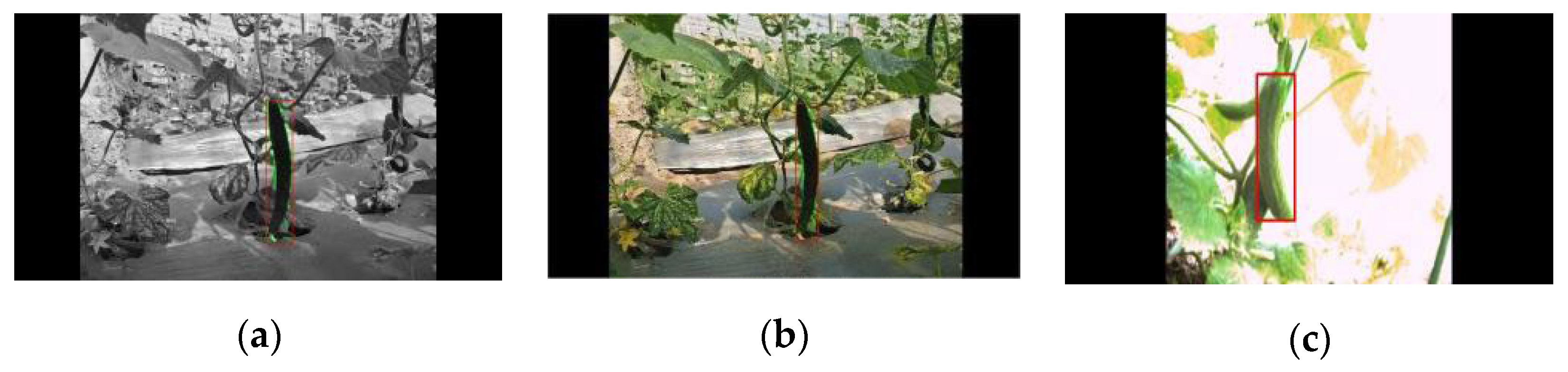 Applsci 14 01884 g014