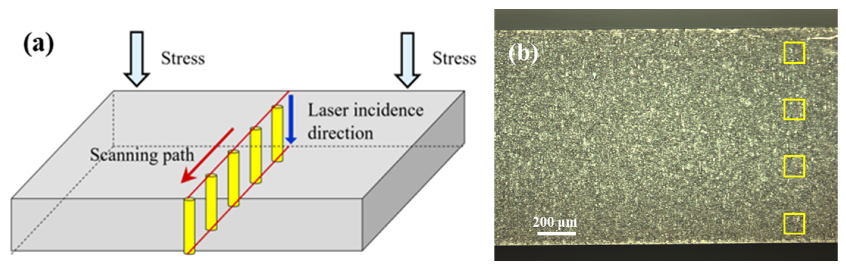 Applsci 14 01885 g003 Applsci 14 01885 g003