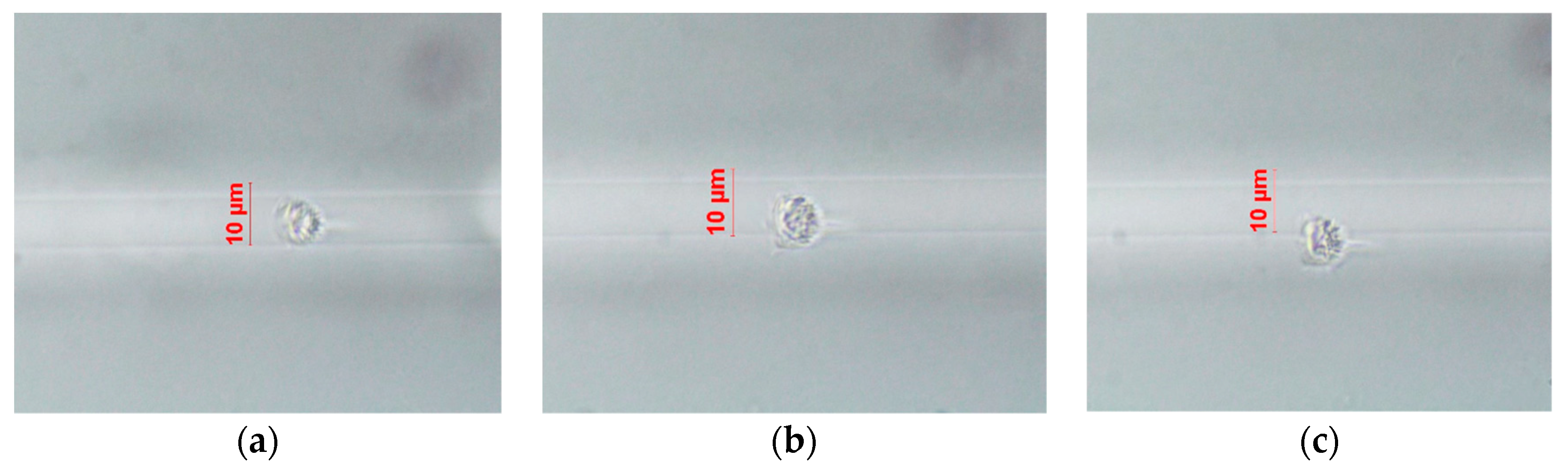 Applsci 14 01895 g002