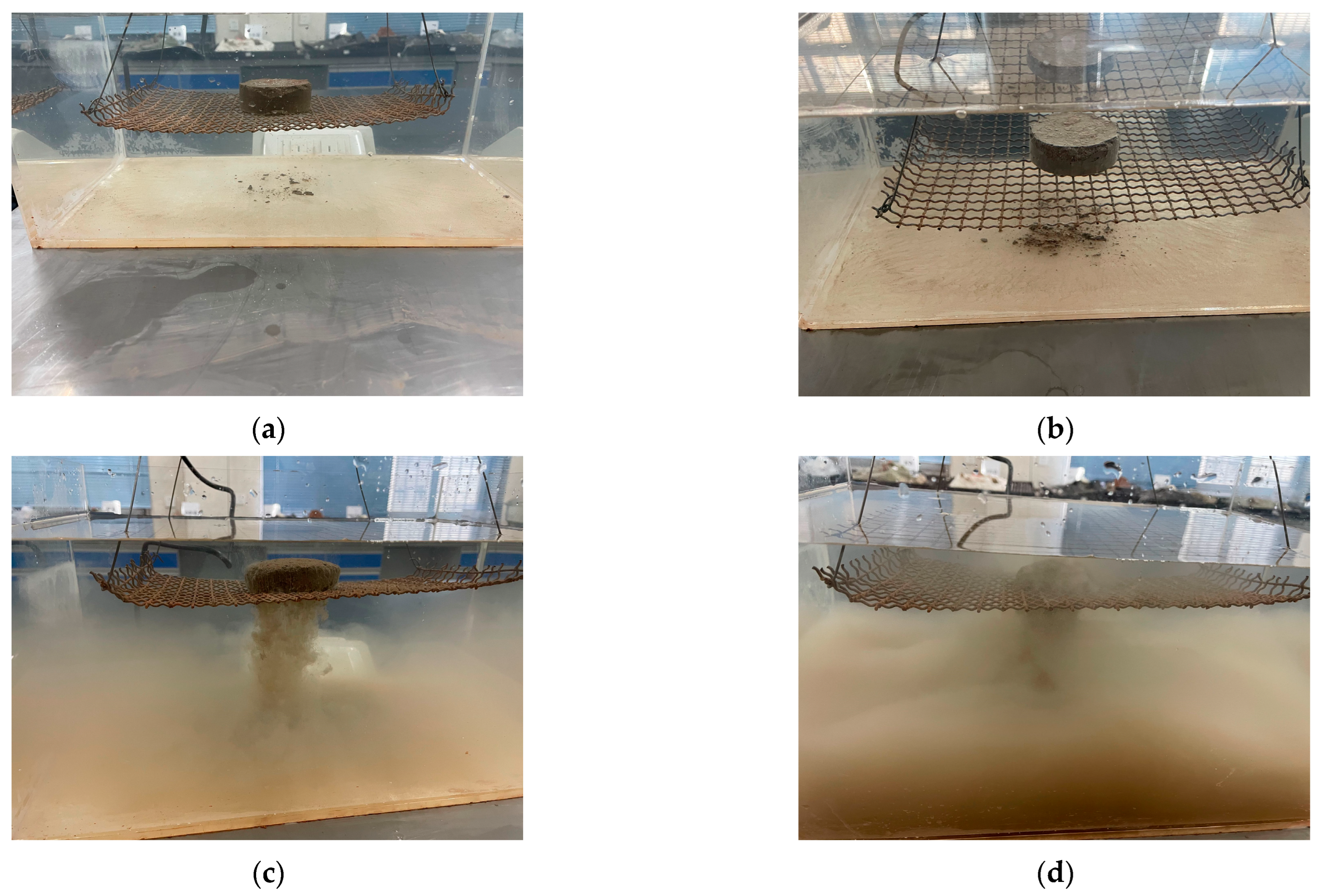 Applsci 14 01901 g010