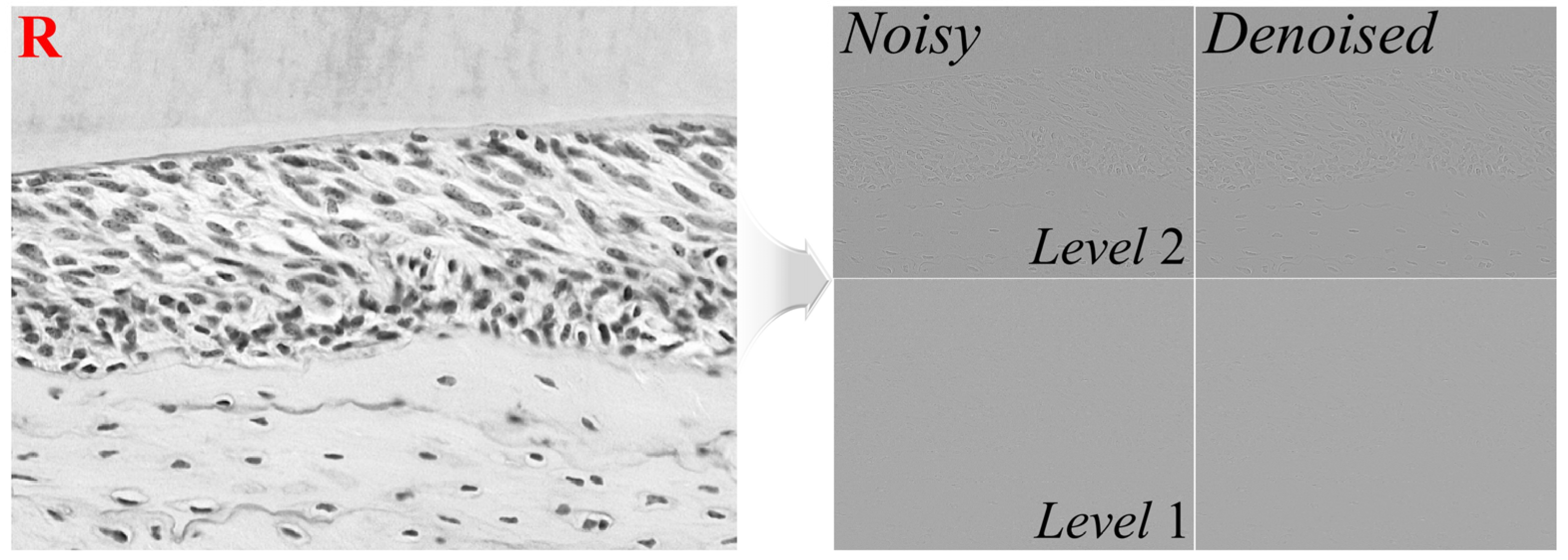 Applsci 14 01913 g002