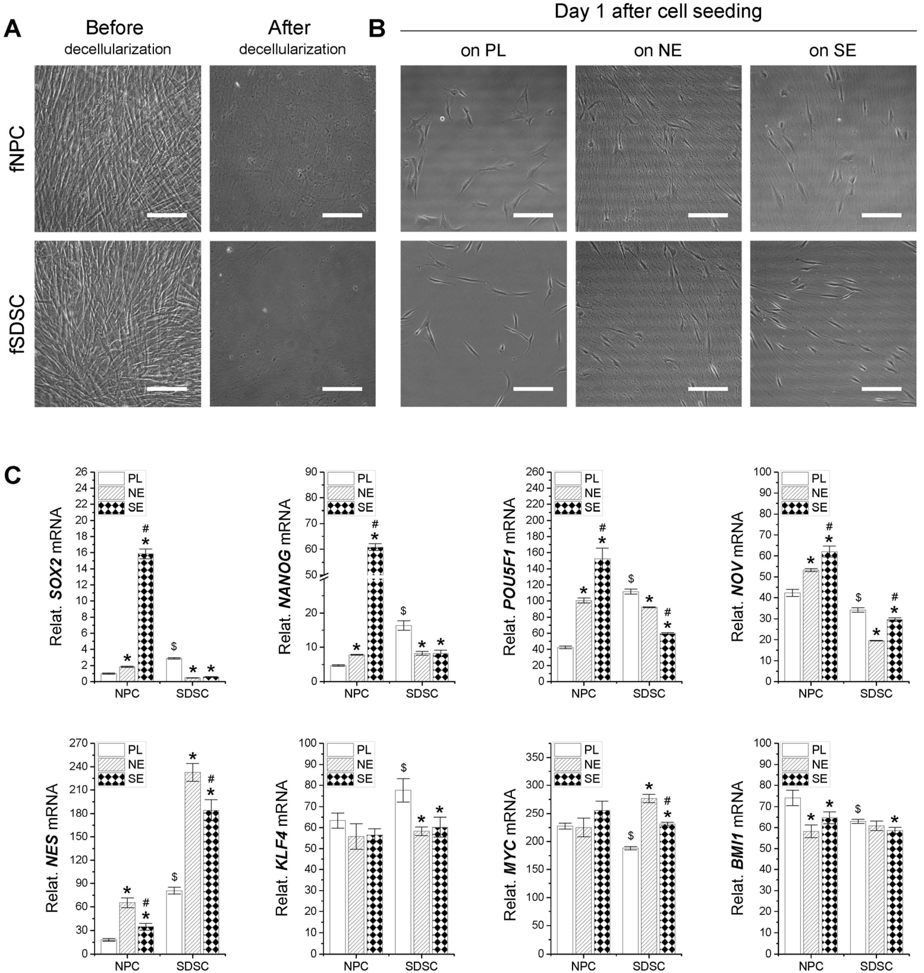 Applsci 14 01932 g001