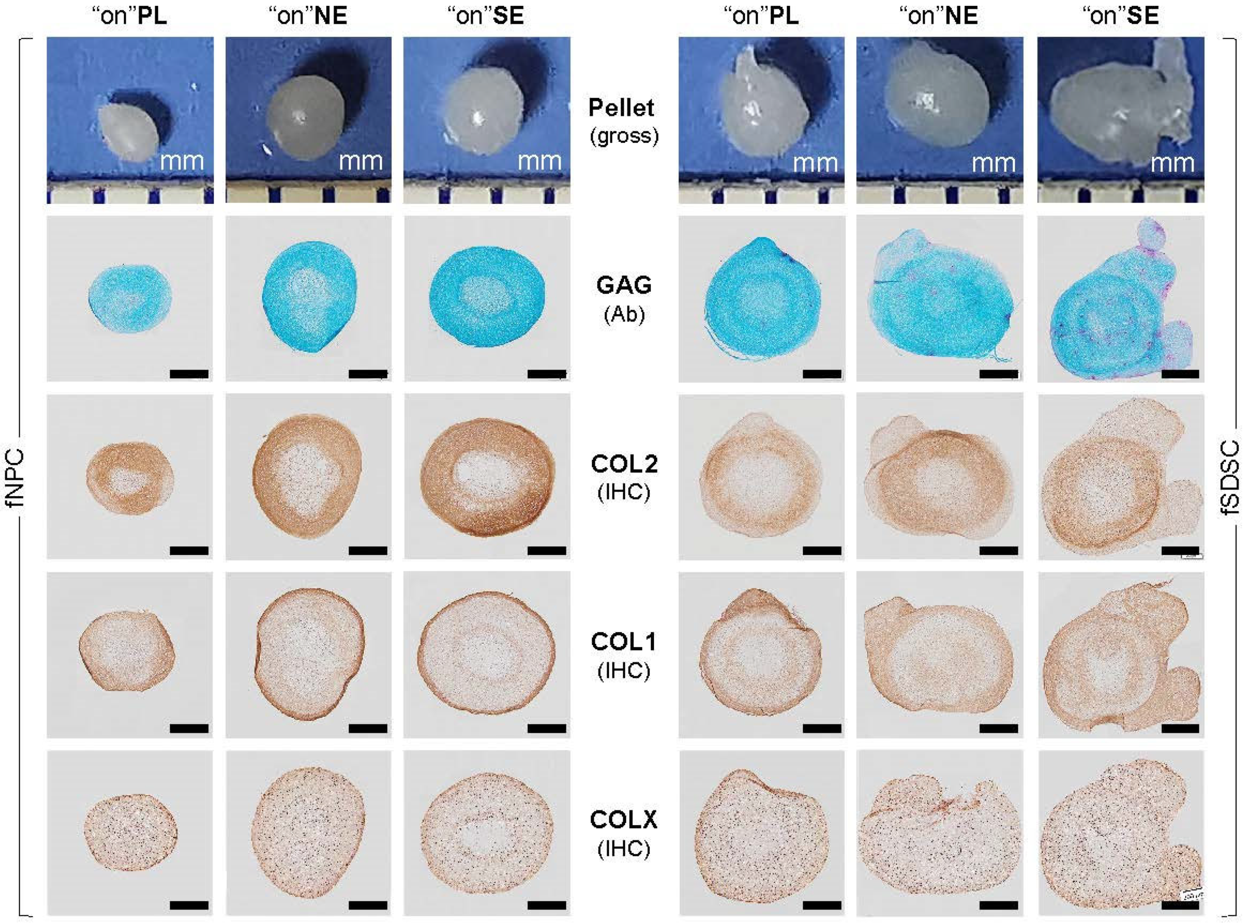 Applsci 14 01932 g004