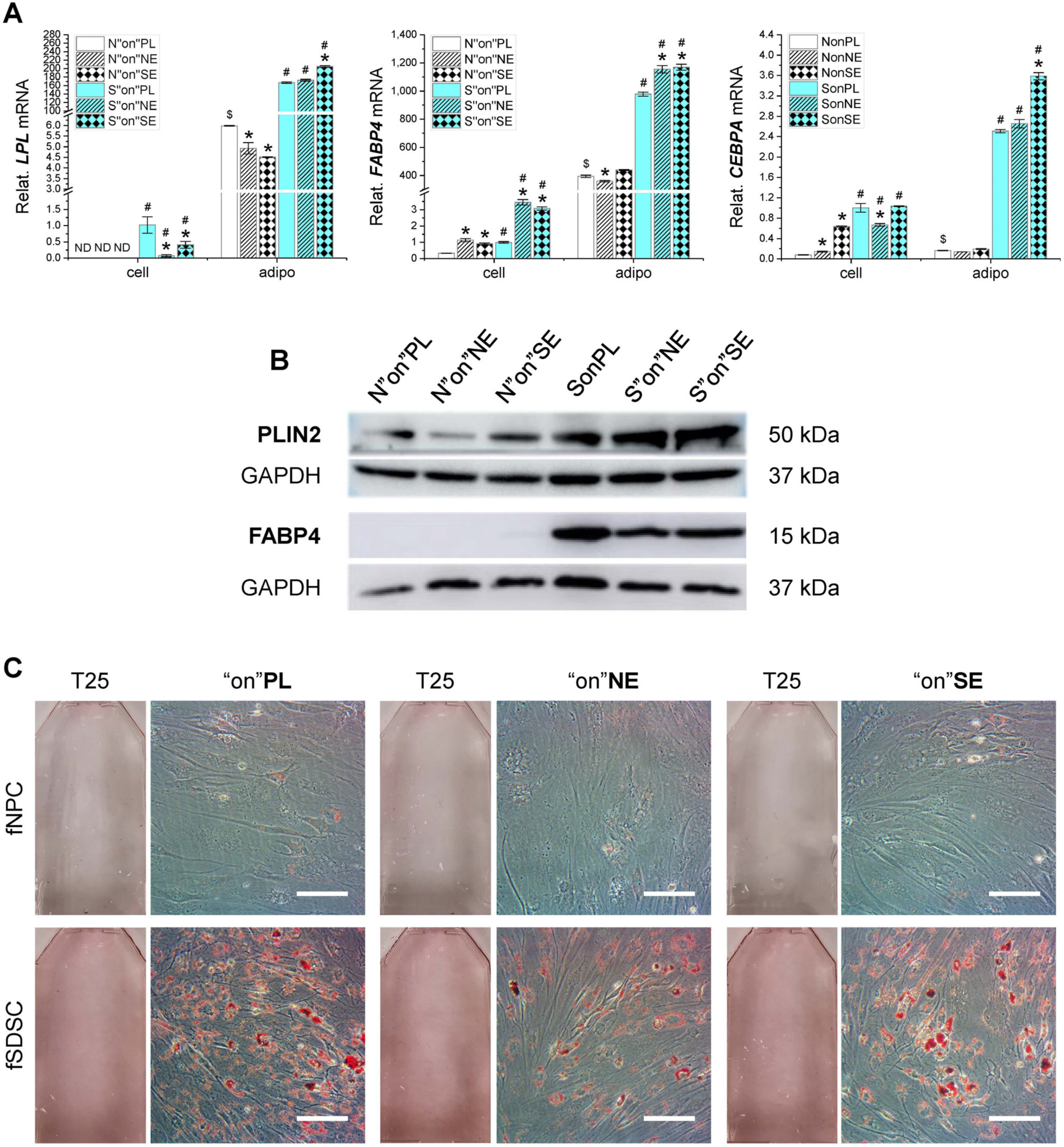 Applsci 14 01932 g005