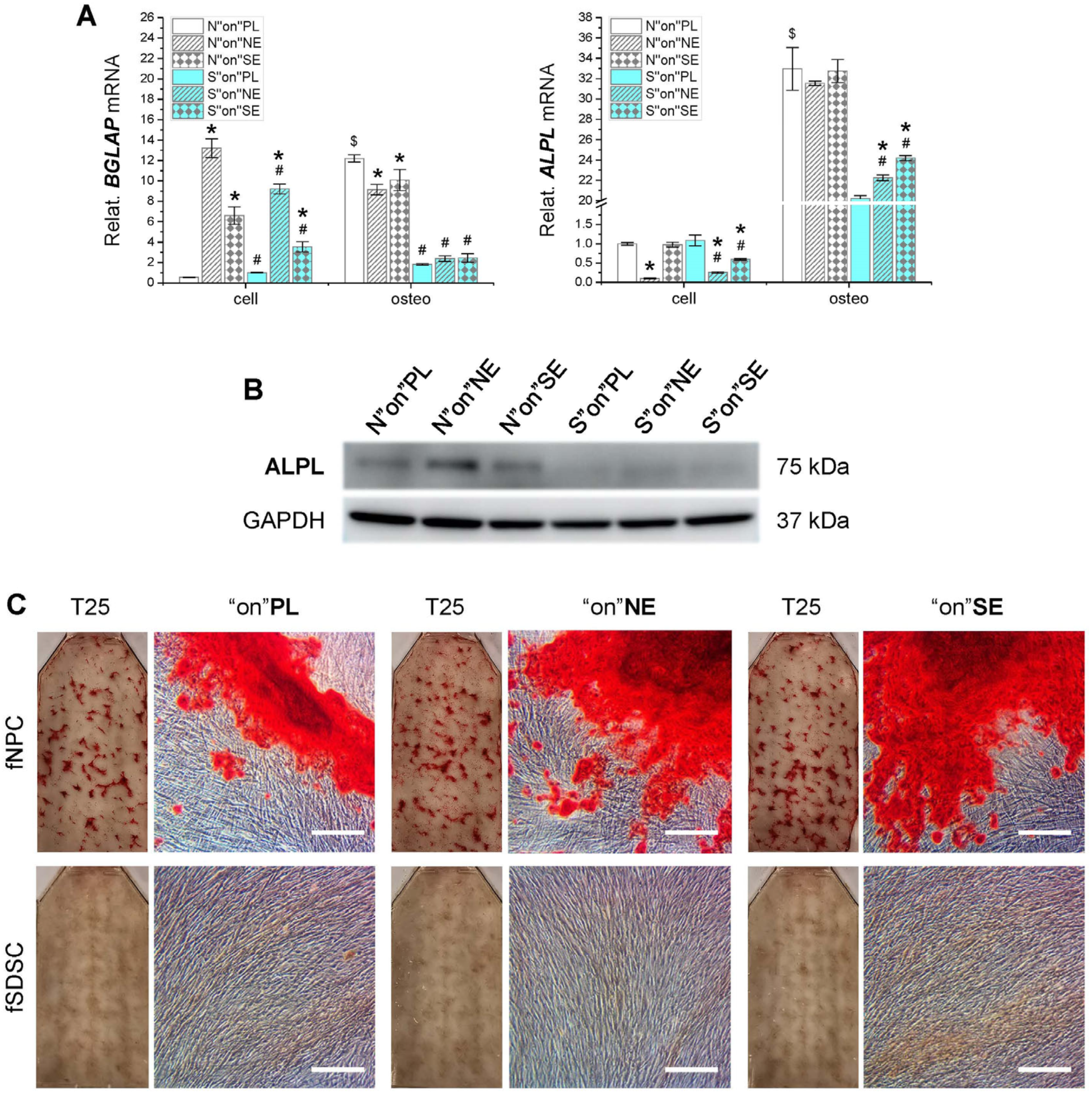Applsci 14 01932 g006