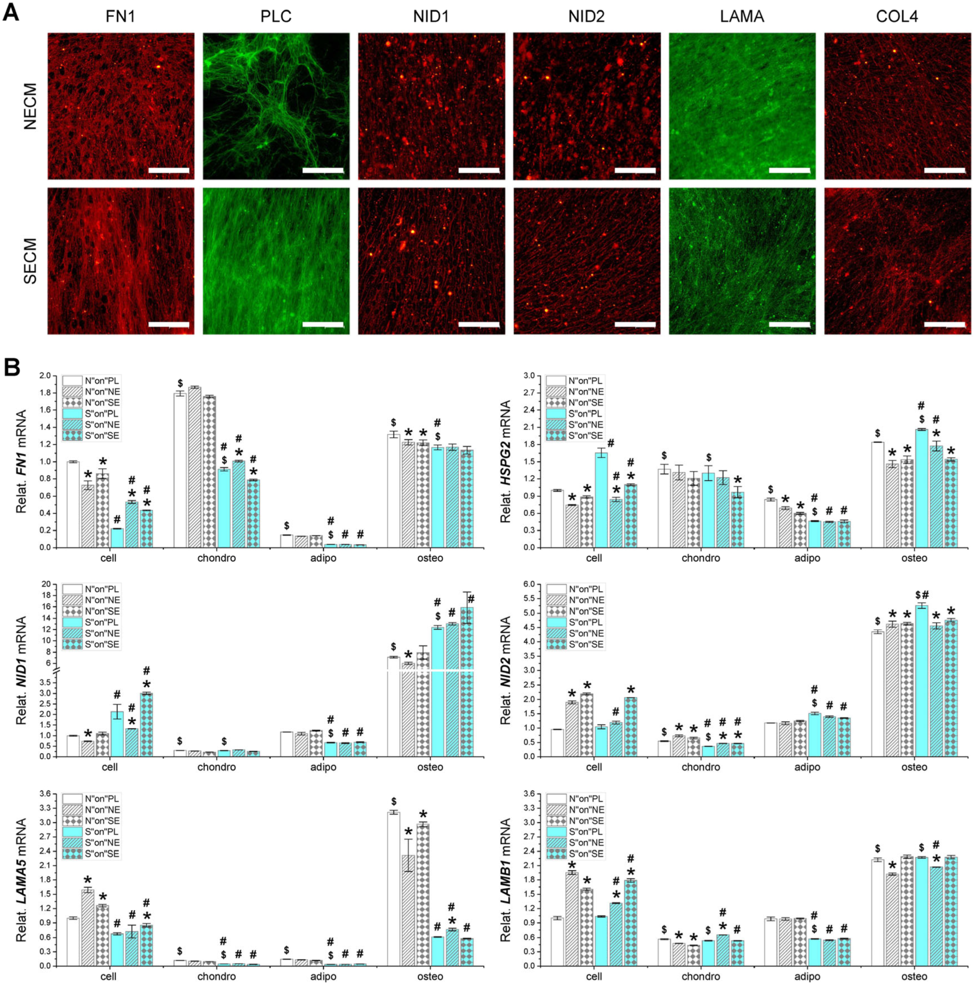 Applsci 14 01932 g007