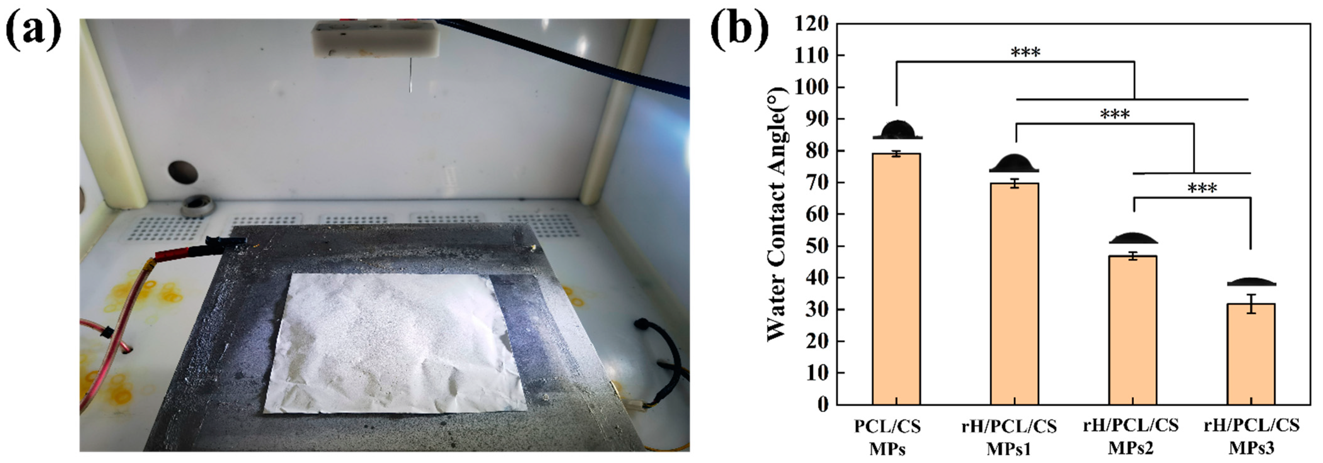 Applsci 14 01939 g005