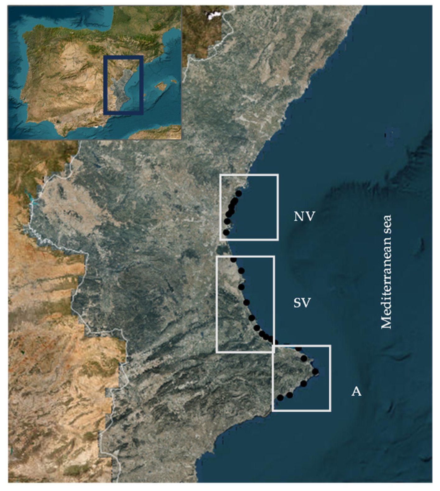 Applsci 14 01965 g001 Applsci 14 01965 g001