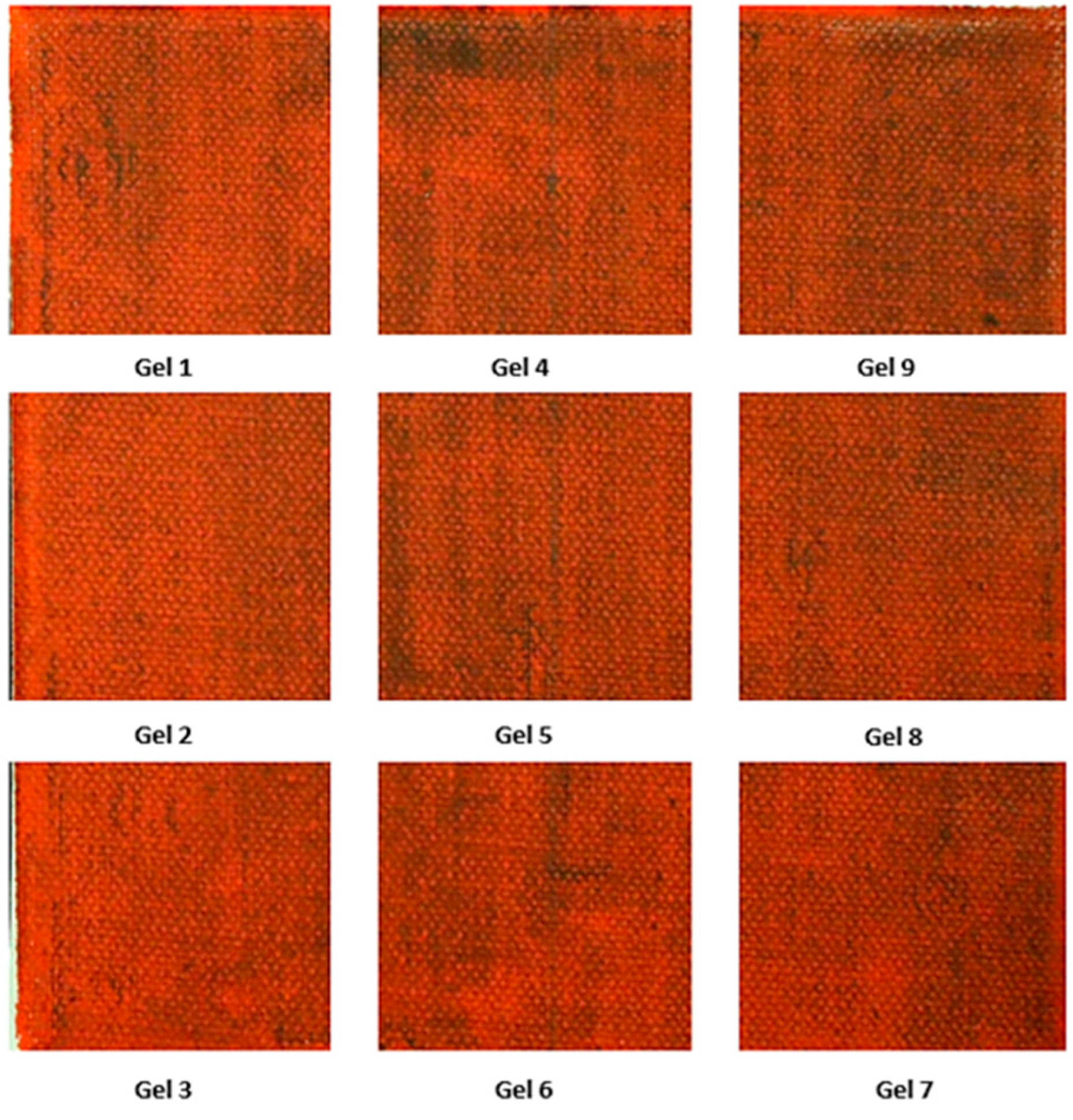 Applsci 14 01970 g001