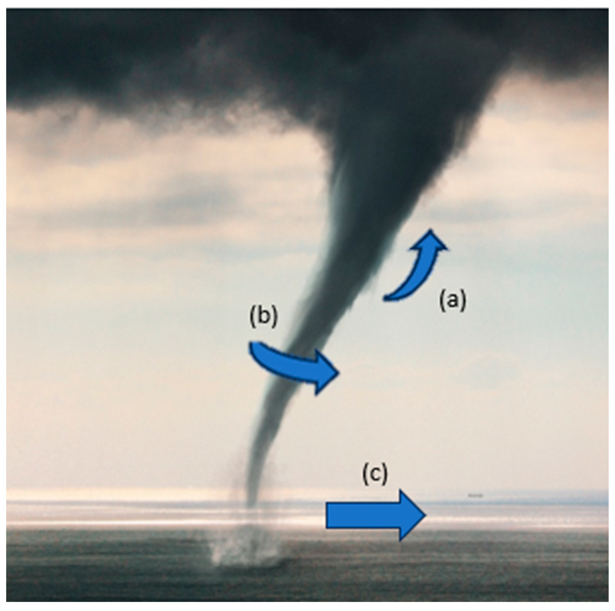 Applsci 14 01976 g001