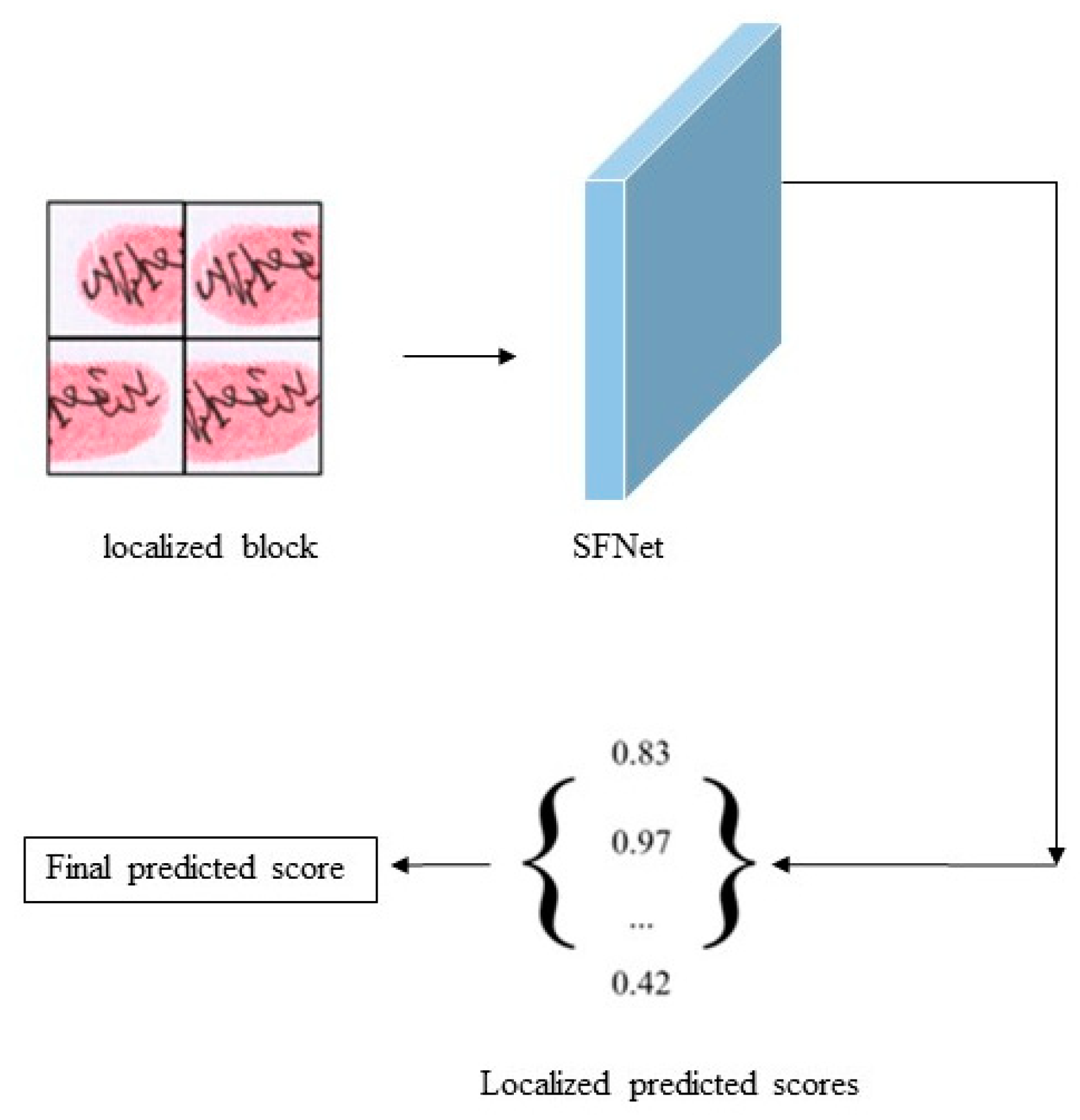 Applsci 14 01998 g005