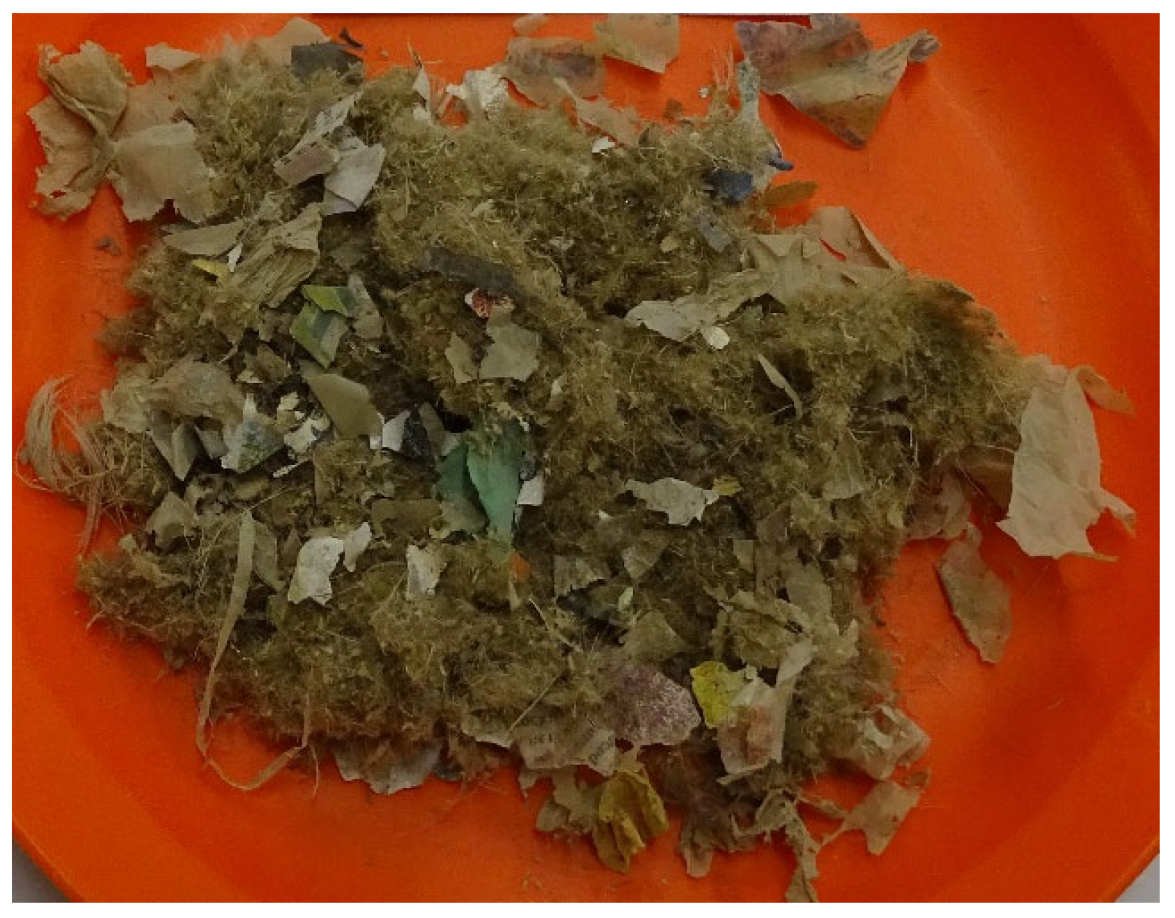 Applsci 14 02004 g001