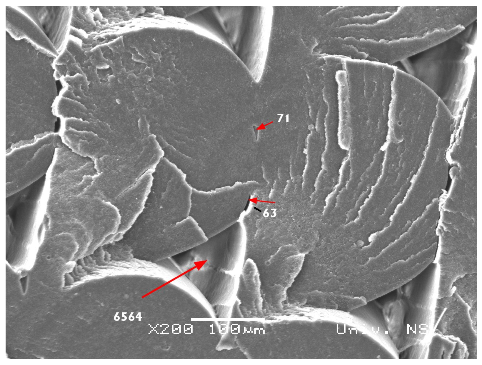 Applsci 14 02035 g007