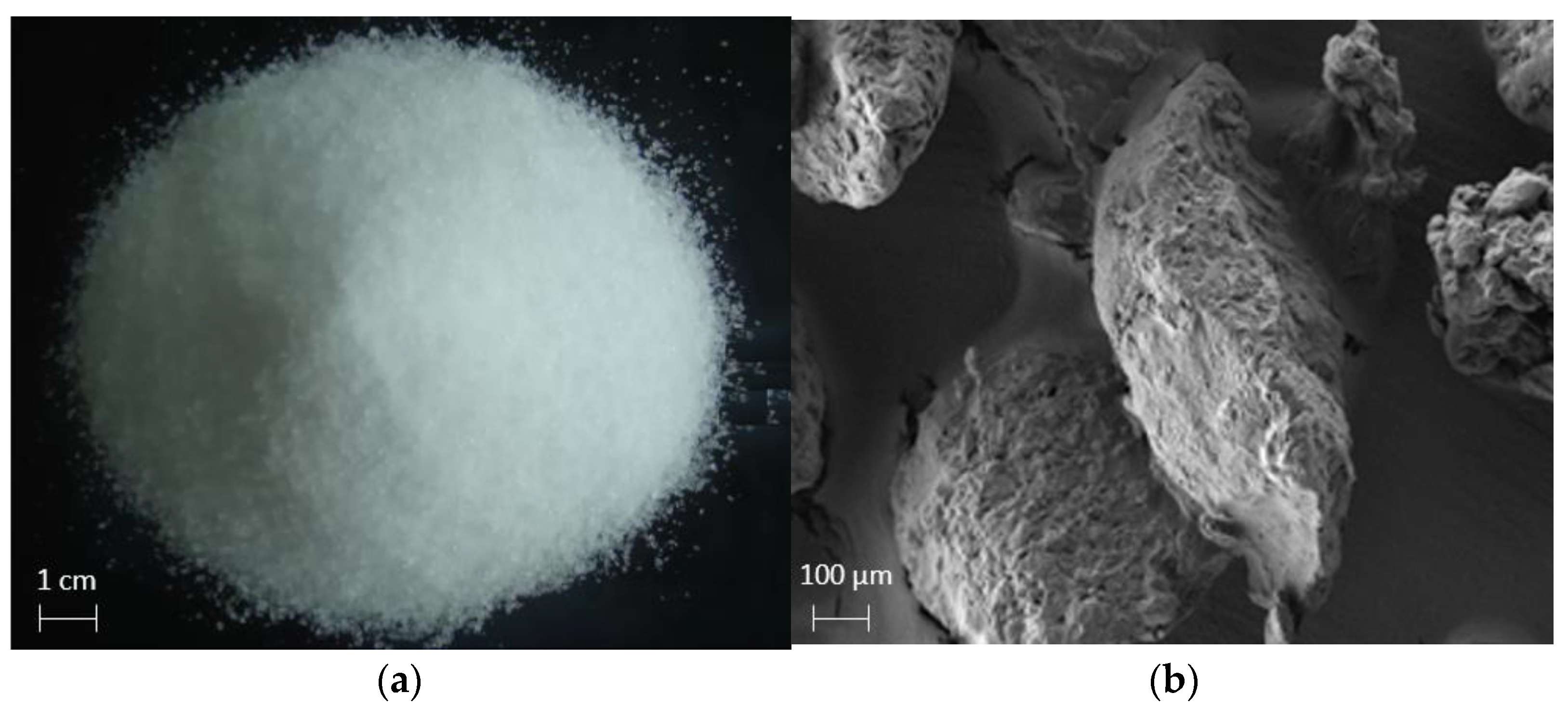 Applsci 14 02040 g001