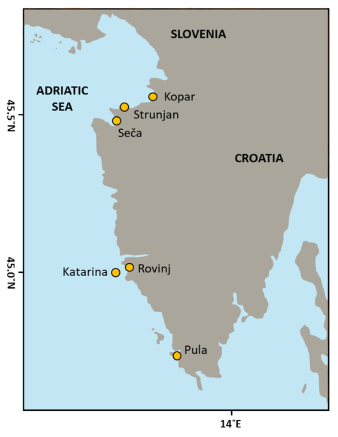 Applsci 14 02056 g001