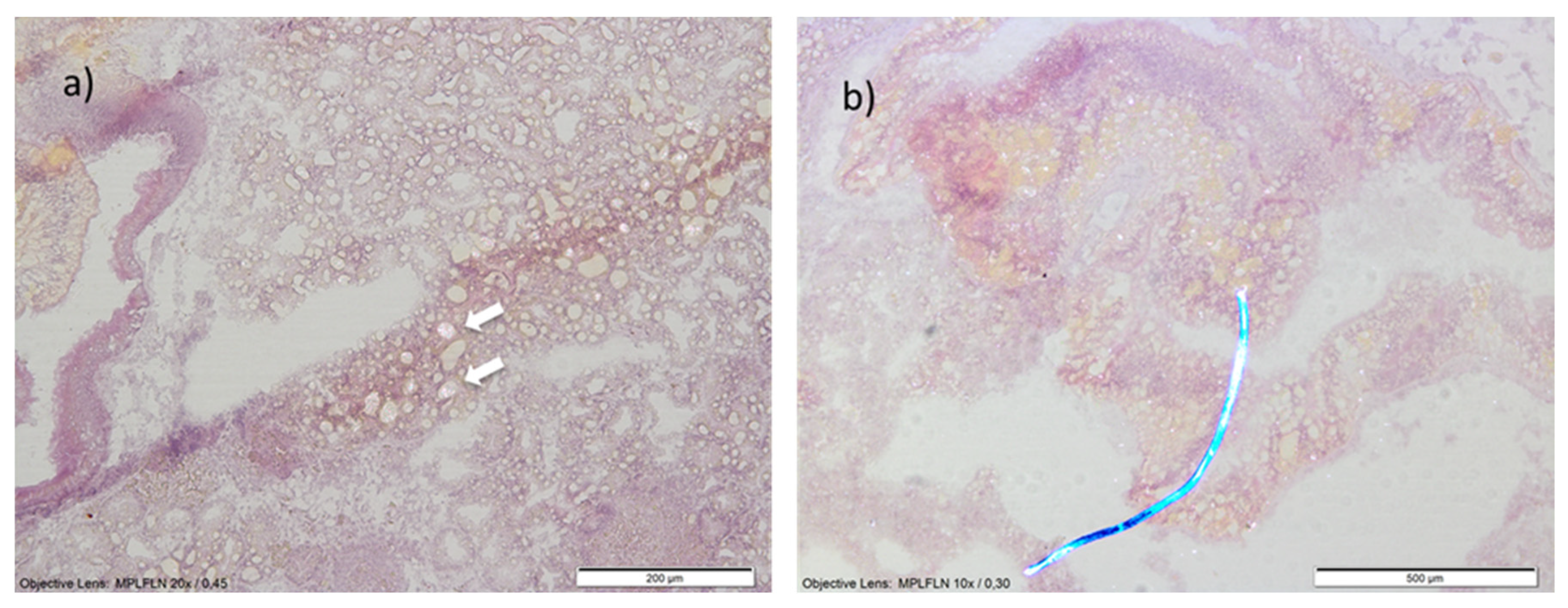 Applsci 14 02056 g003