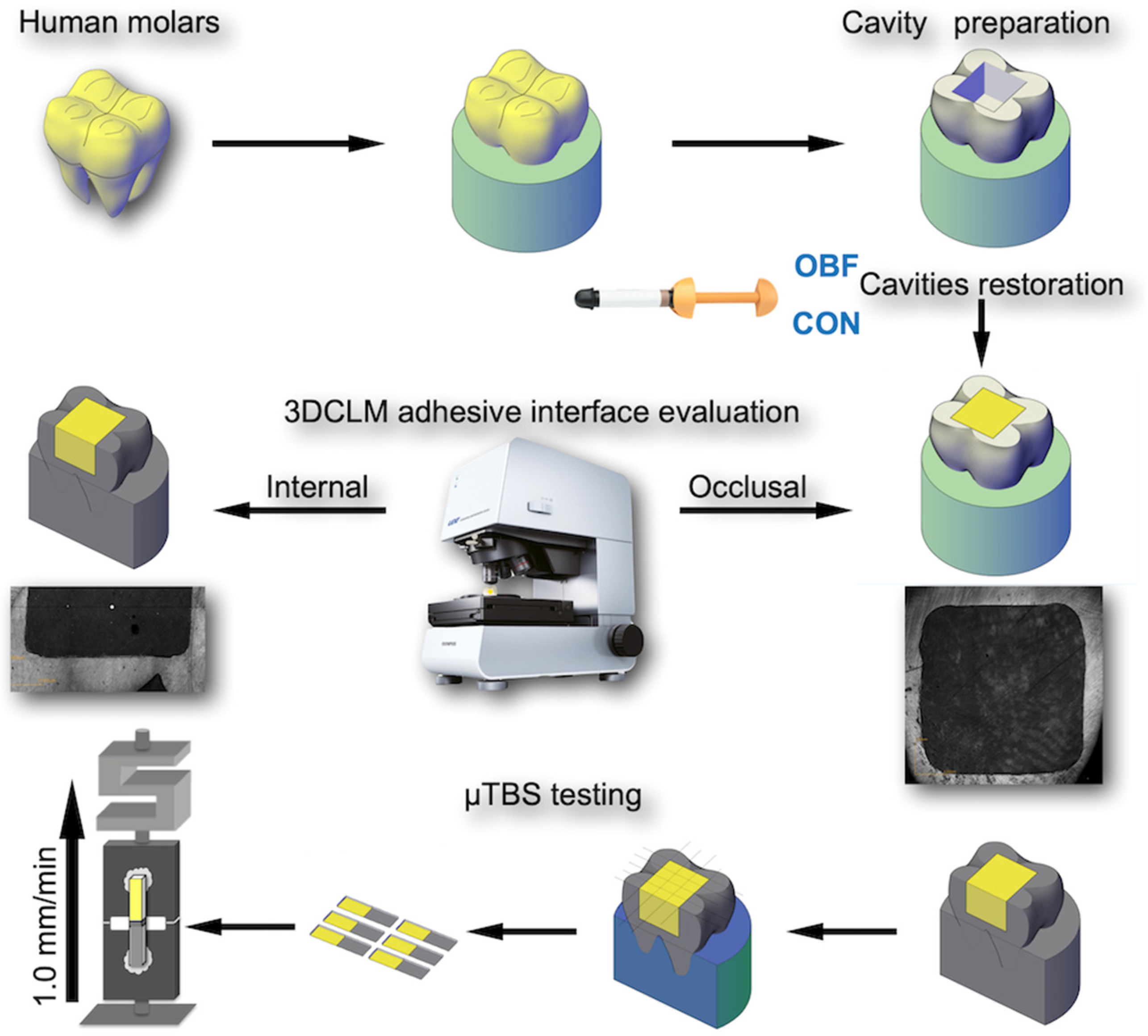 Applsci 14 02057 g001 Applsci 14 02057 g001