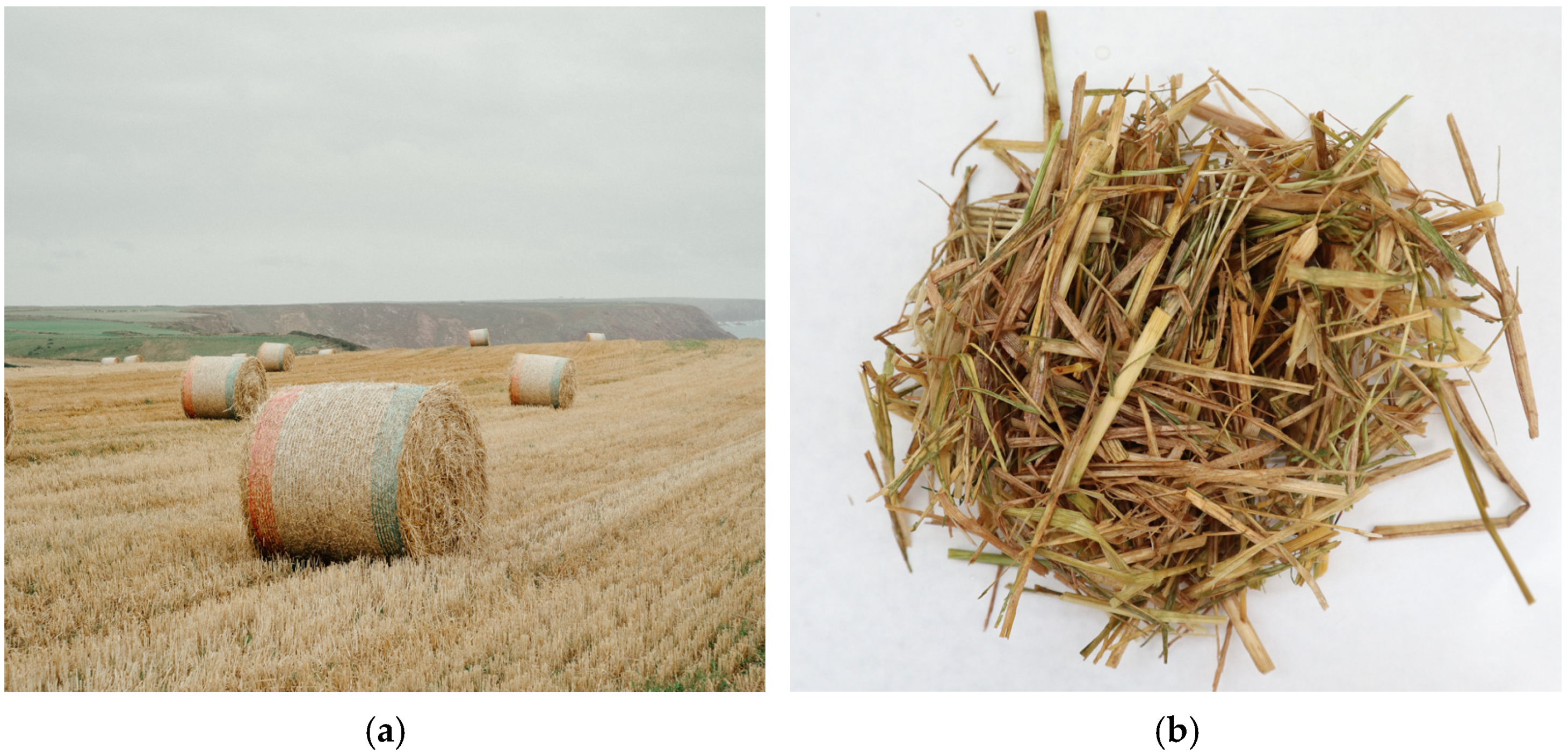 Applsci 14 02059 g001