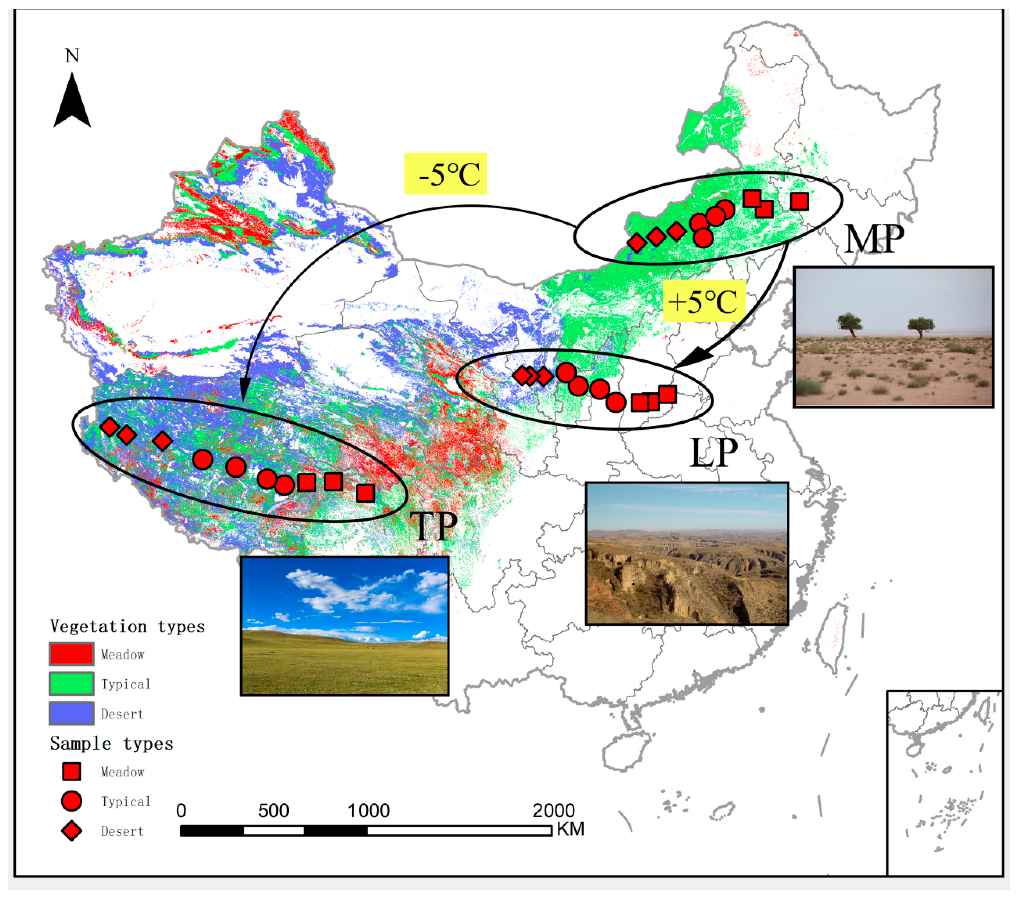 Soil Mineral-Associated Organic Carbon and Its Relationship