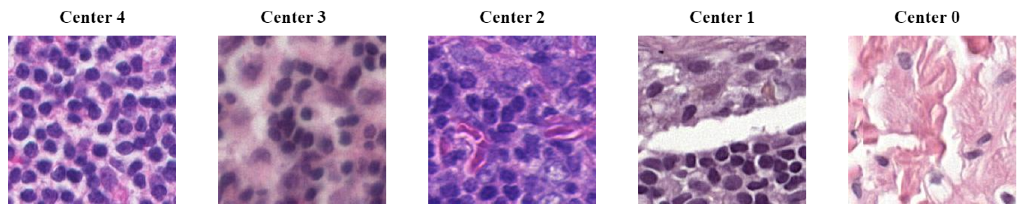 Applsci 14 02063 g001