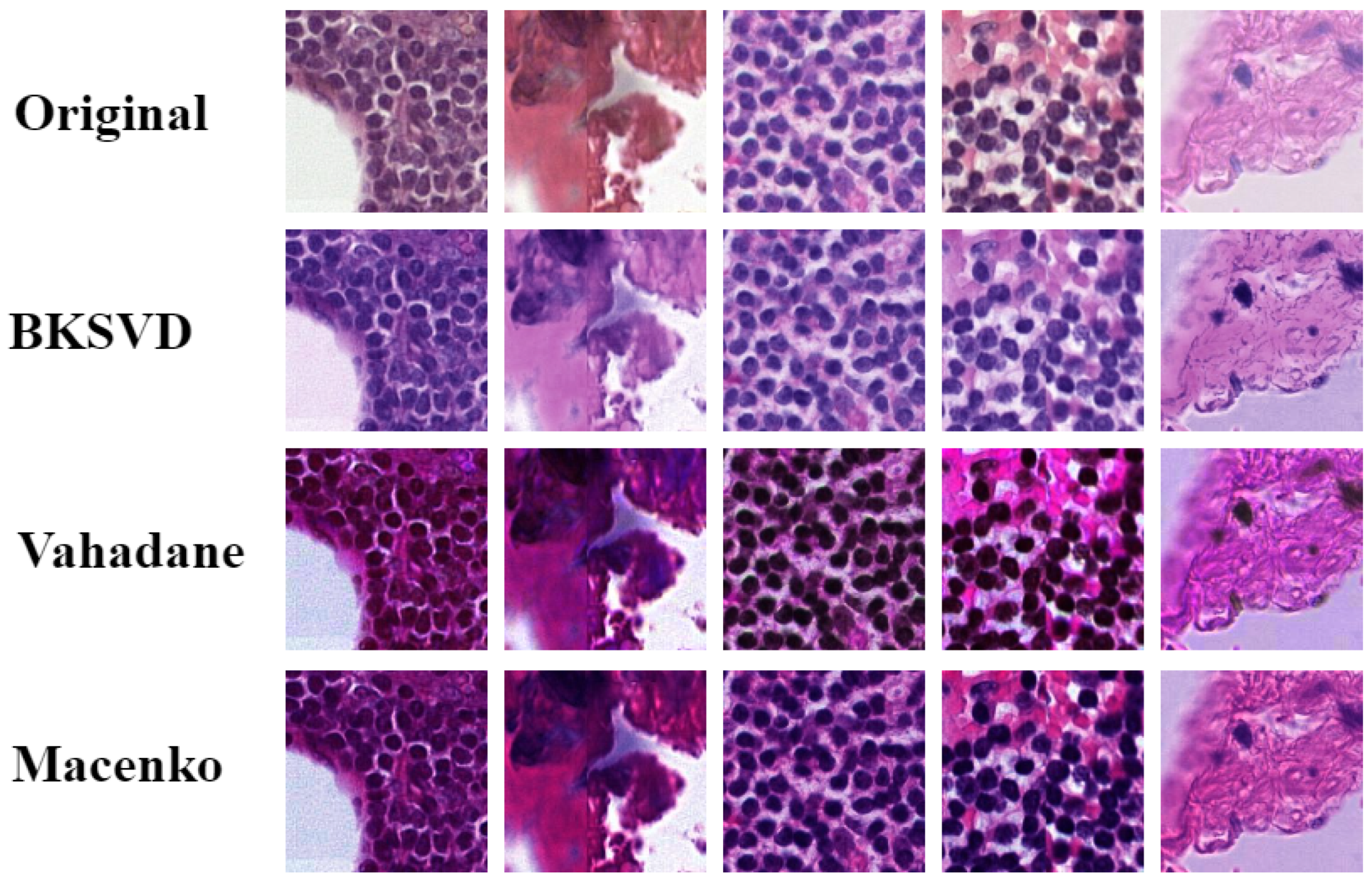 Applsci 14 02063 g005