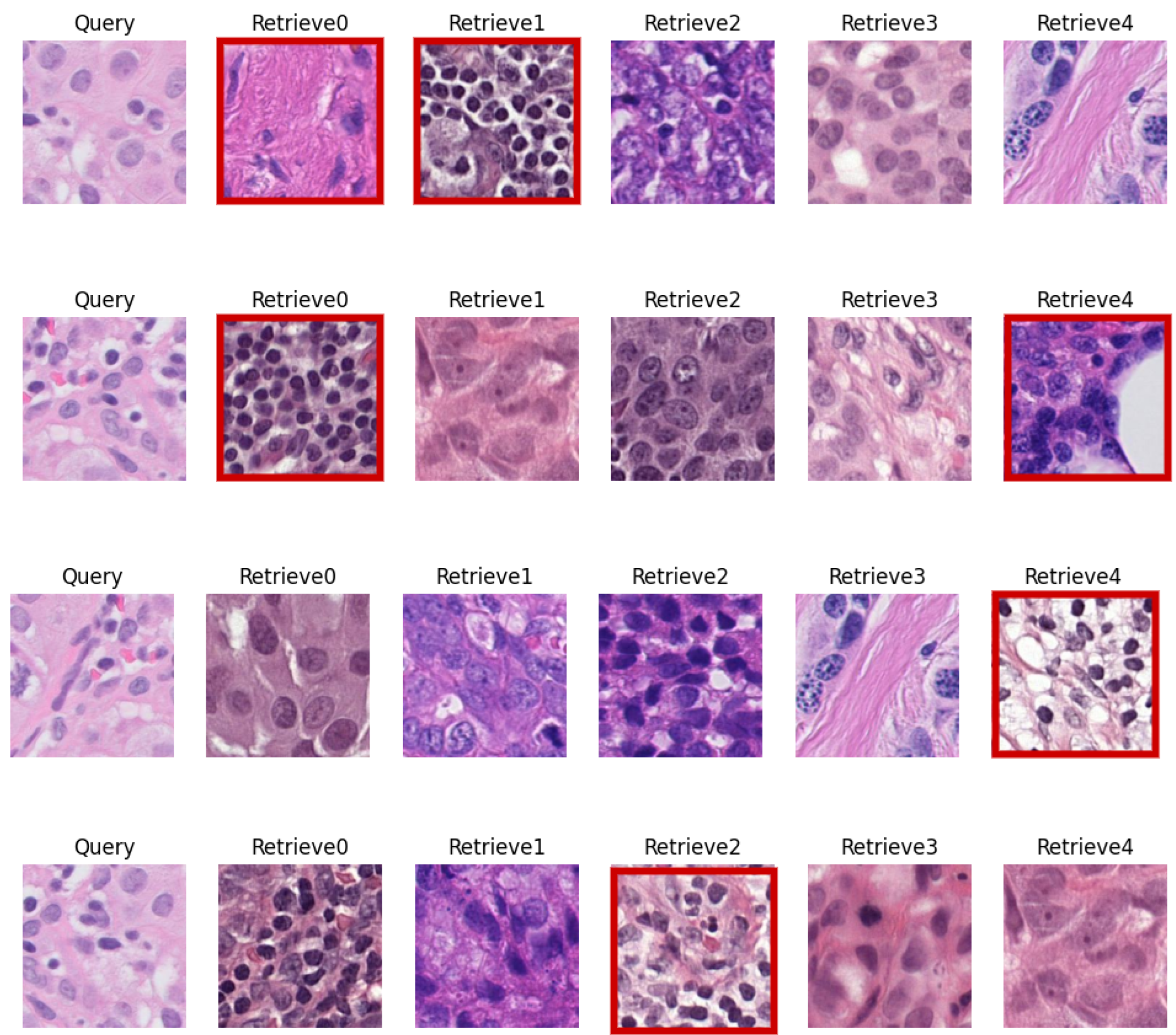 Applsci 14 02063 g007